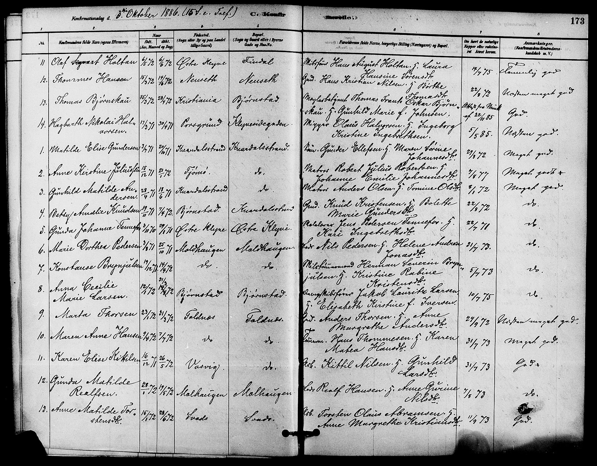 Solum kirkebøker, SAKO/A-306/F/Fa/L0009: Parish register (official) no. I 9, 1877-1887, p. 173