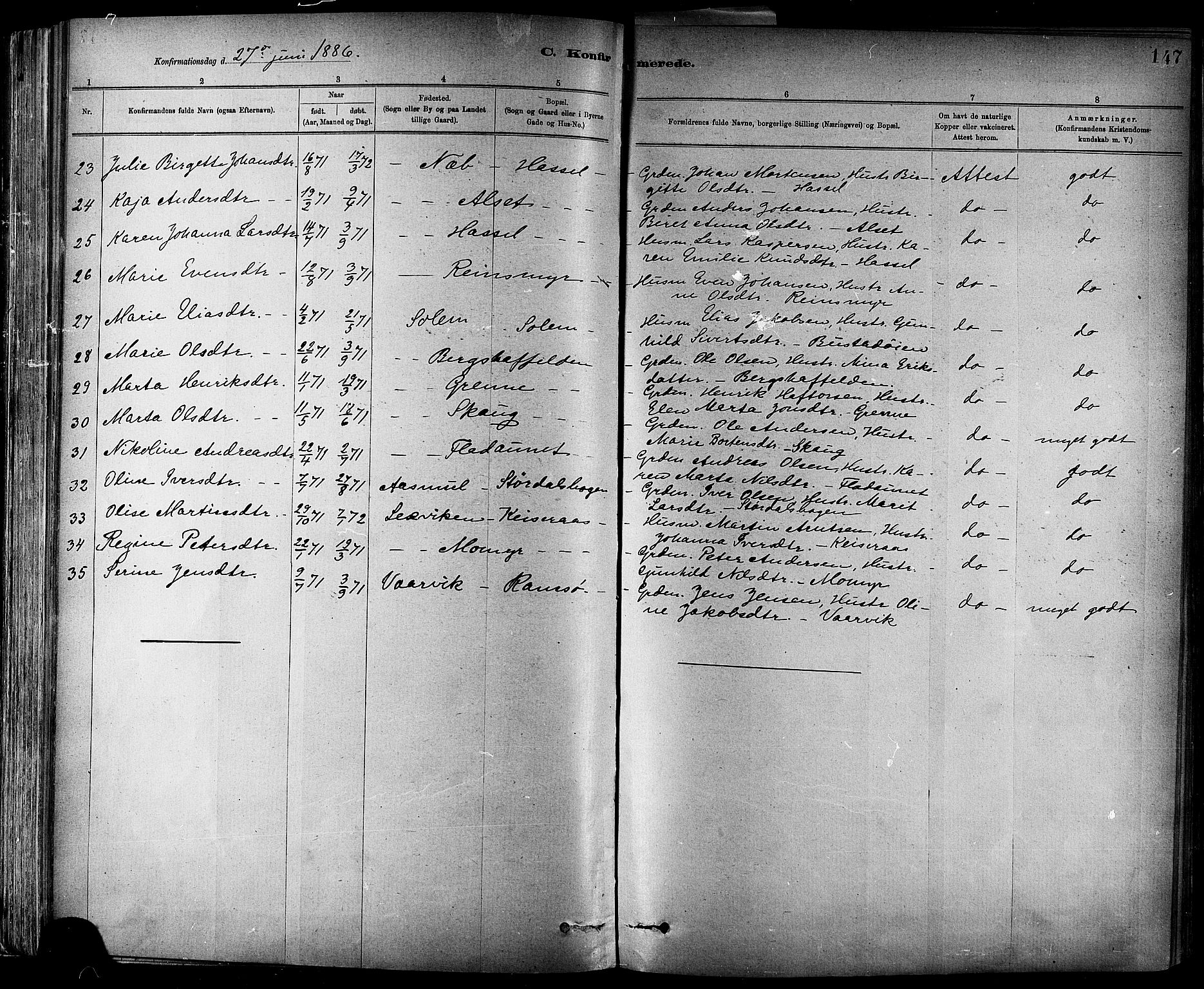 Ministerialprotokoller, klokkerbøker og fødselsregistre - Sør-Trøndelag, SAT/A-1456/647/L0634: Parish register (official) no. 647A01, 1885-1896, p. 147