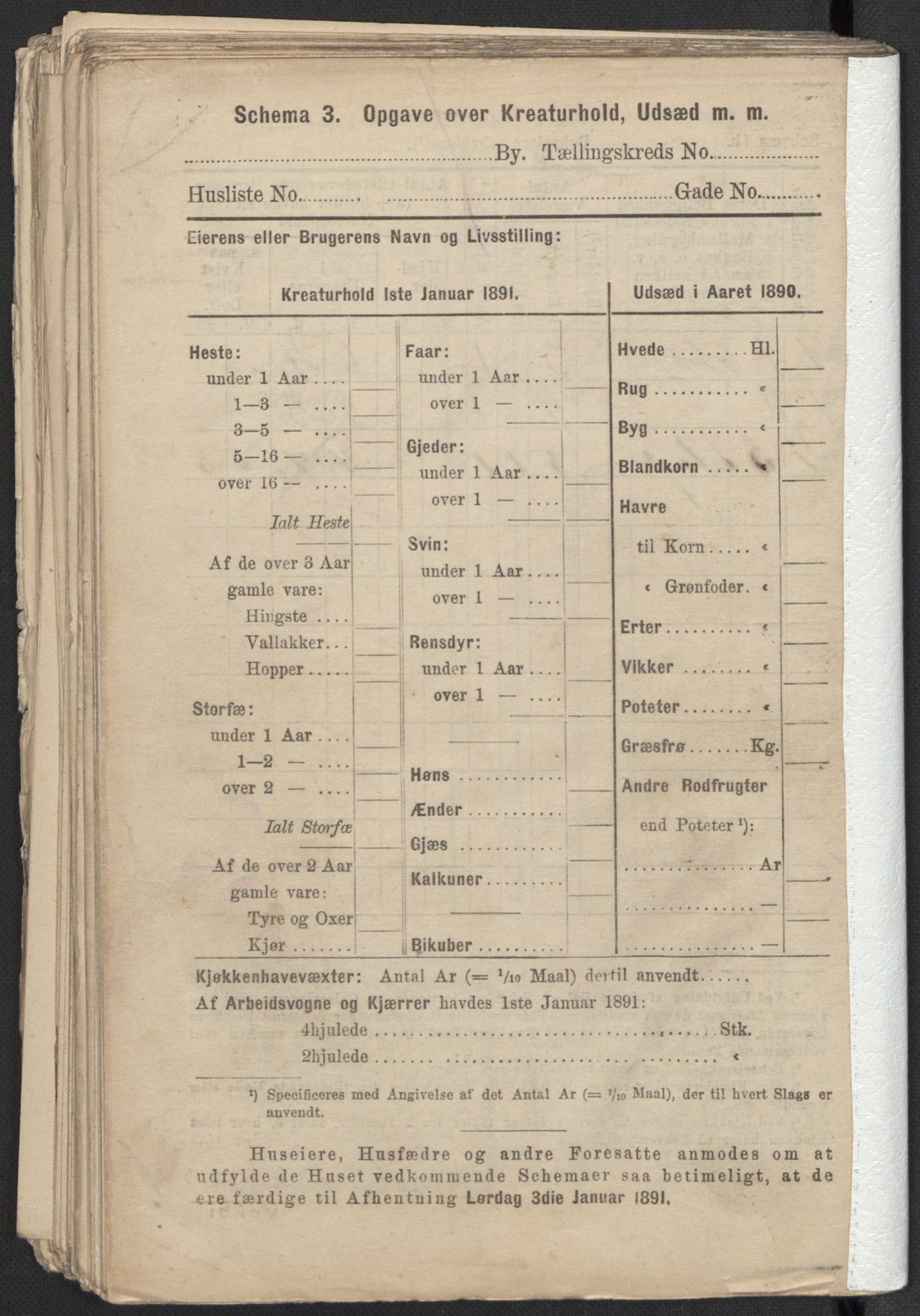 RA, 1891 Census for 1301 Bergen, 1891, p. 8713