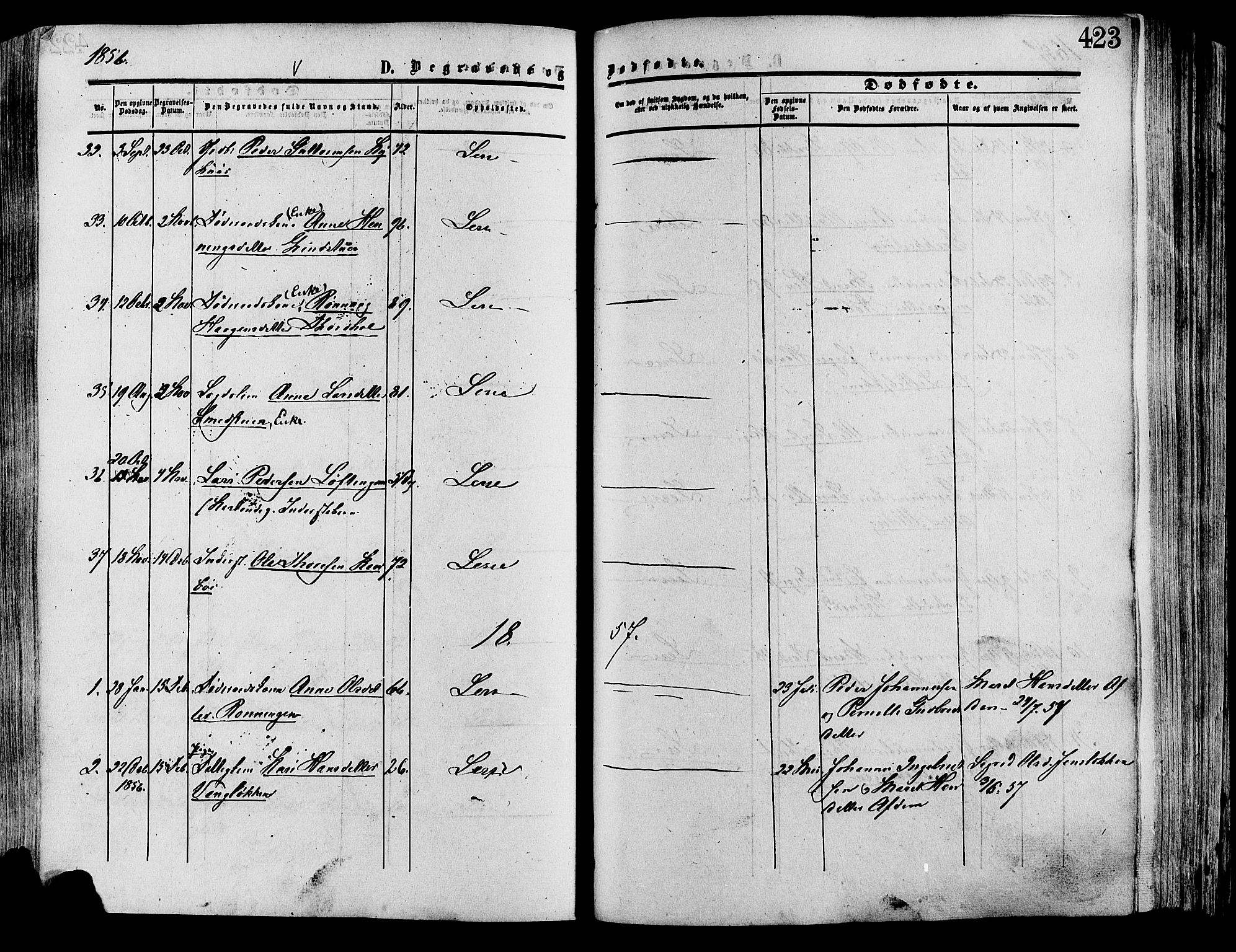 Lesja prestekontor, SAH/PREST-068/H/Ha/Haa/L0008: Parish register (official) no. 8, 1854-1880, p. 423