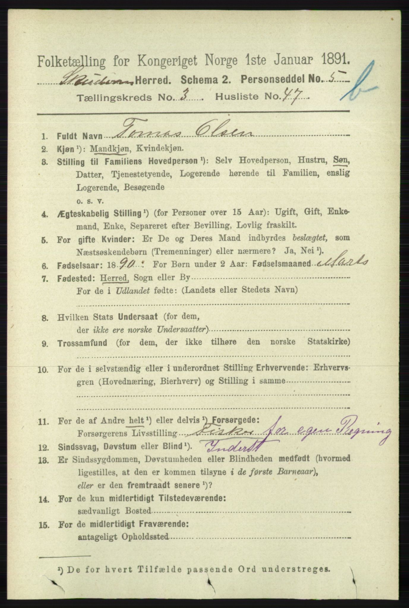 RA, 1891 census for 1150 Skudenes, 1891, p. 4245