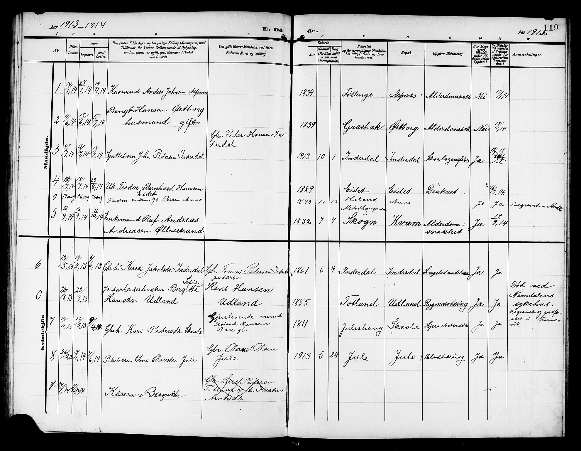 Ministerialprotokoller, klokkerbøker og fødselsregistre - Nord-Trøndelag, SAT/A-1458/757/L0506: Parish register (copy) no. 757C01, 1904-1922, p. 119