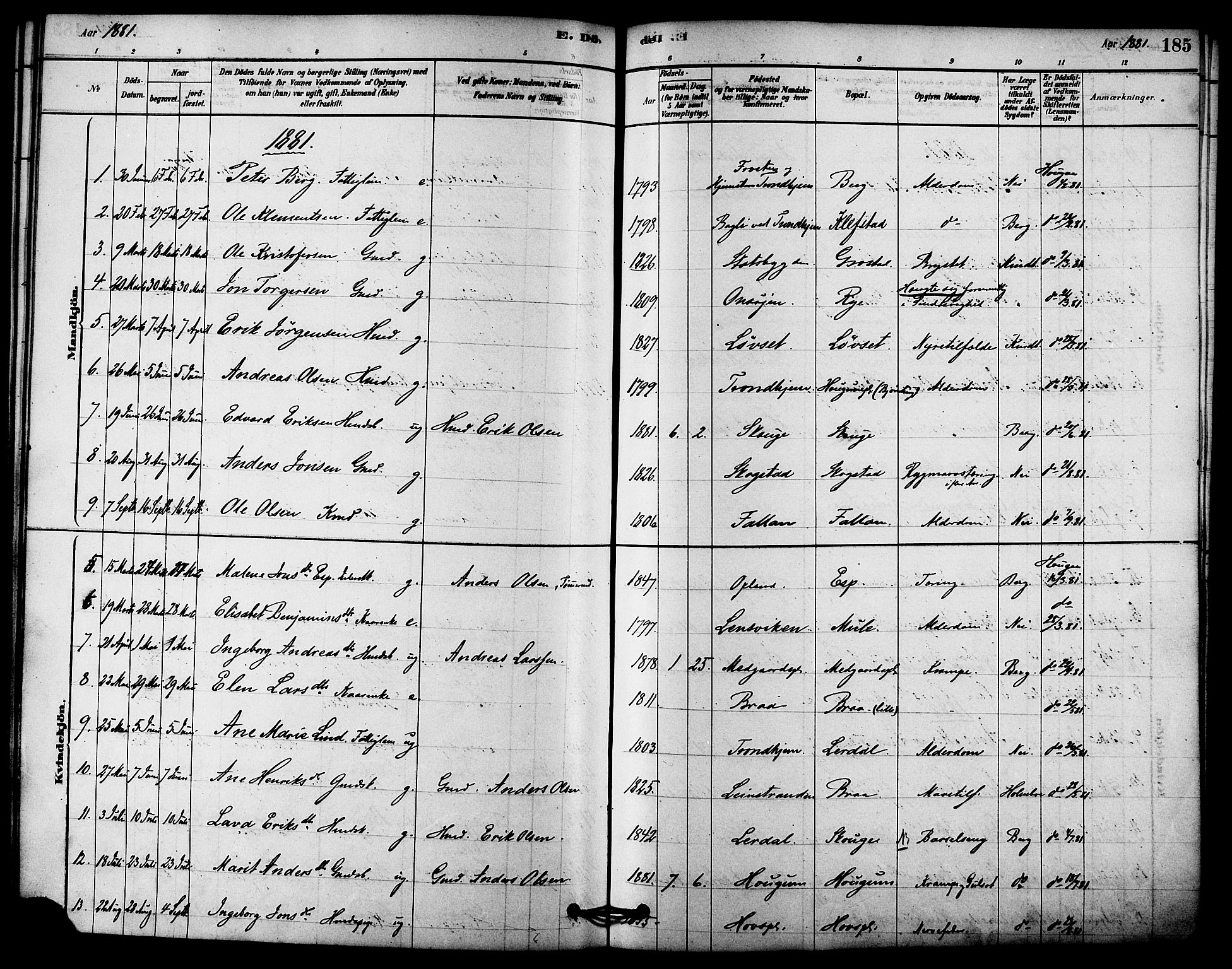 Ministerialprotokoller, klokkerbøker og fødselsregistre - Sør-Trøndelag, AV/SAT-A-1456/612/L0378: Parish register (official) no. 612A10, 1878-1897, p. 185