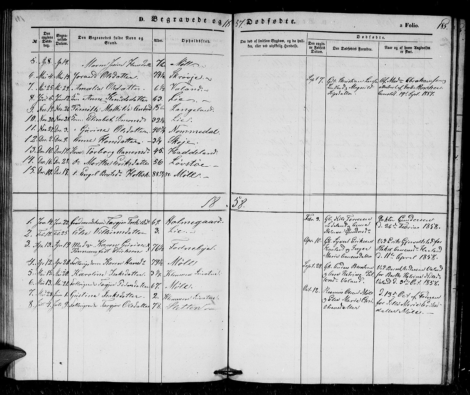 Holum sokneprestkontor, AV/SAK-1111-0022/F/Fb/Fba/L0003: Parish register (copy) no. B 3, 1850-1866, p. 185