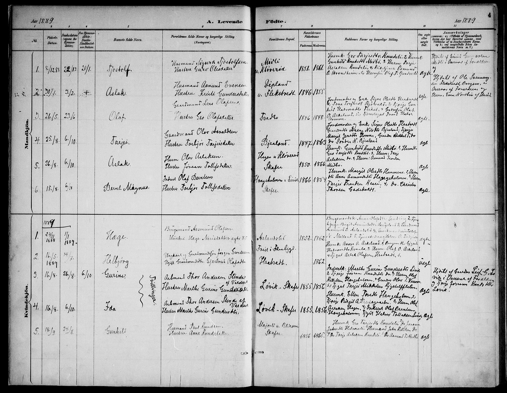 Lårdal kirkebøker, AV/SAKO-A-284/F/Fa/L0007: Parish register (official) no. I 7, 1887-1906, p. 4