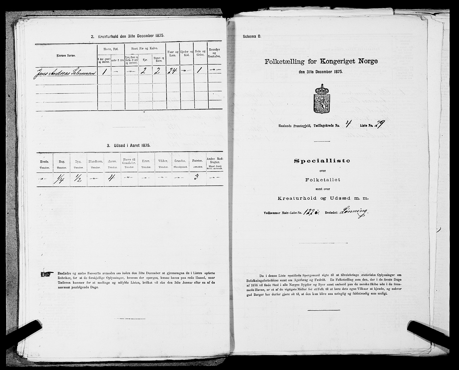 SAST, 1875 census for 1124P Håland, 1875, p. 636