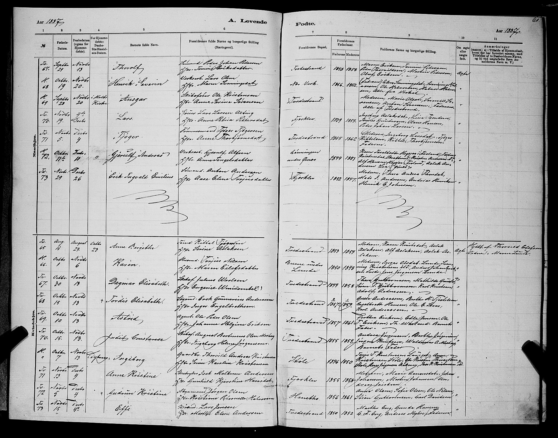 Holt sokneprestkontor, SAK/1111-0021/F/Fb/L0010: Parish register (copy) no. B 10, 1883-1896, p. 60