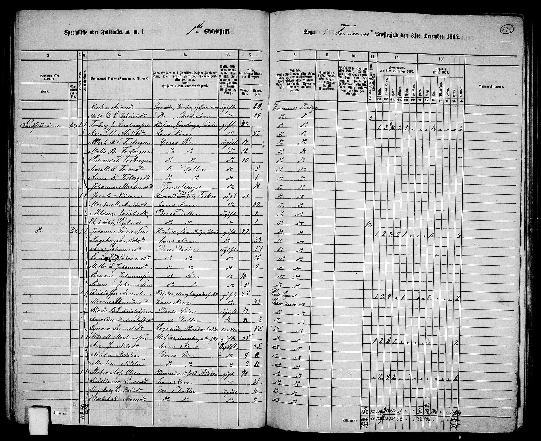 RA, 1865 census for Trondenes, 1865, p. 17