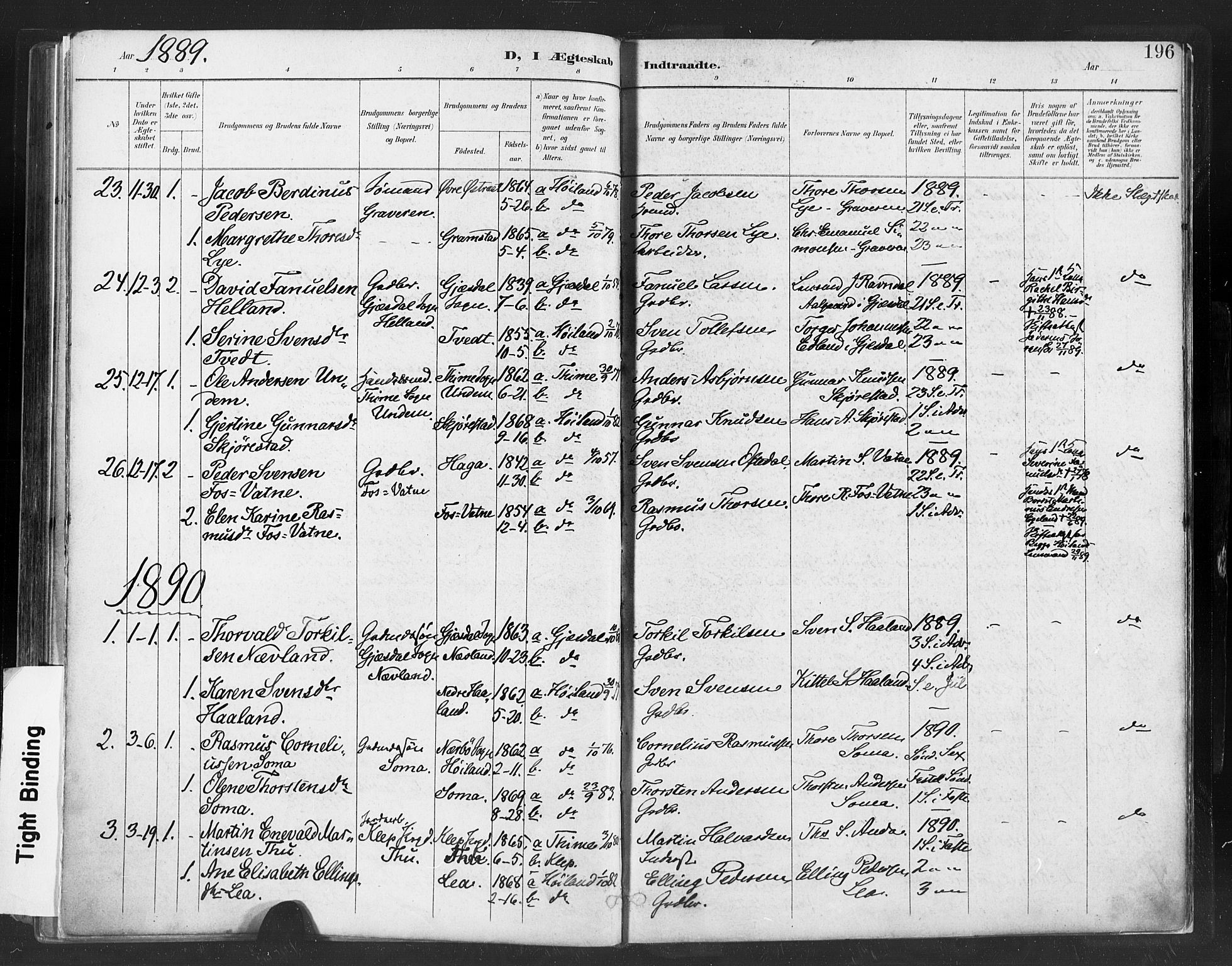 Høyland sokneprestkontor, SAST/A-101799/001/30BA/L0013: Parish register (official) no. A 13.1, 1889-1898, p. 196