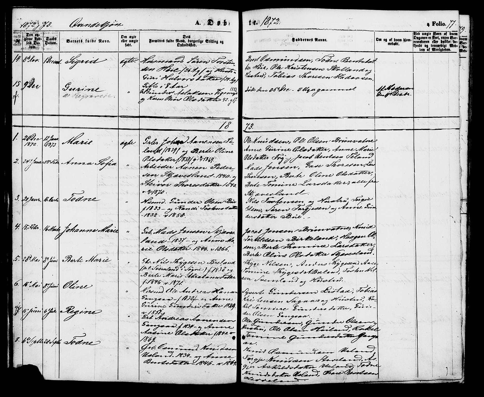 Holum sokneprestkontor, AV/SAK-1111-0022/F/Fa/Fac/L0003: Parish register (official) no. A 3, 1860-1883, p. 77