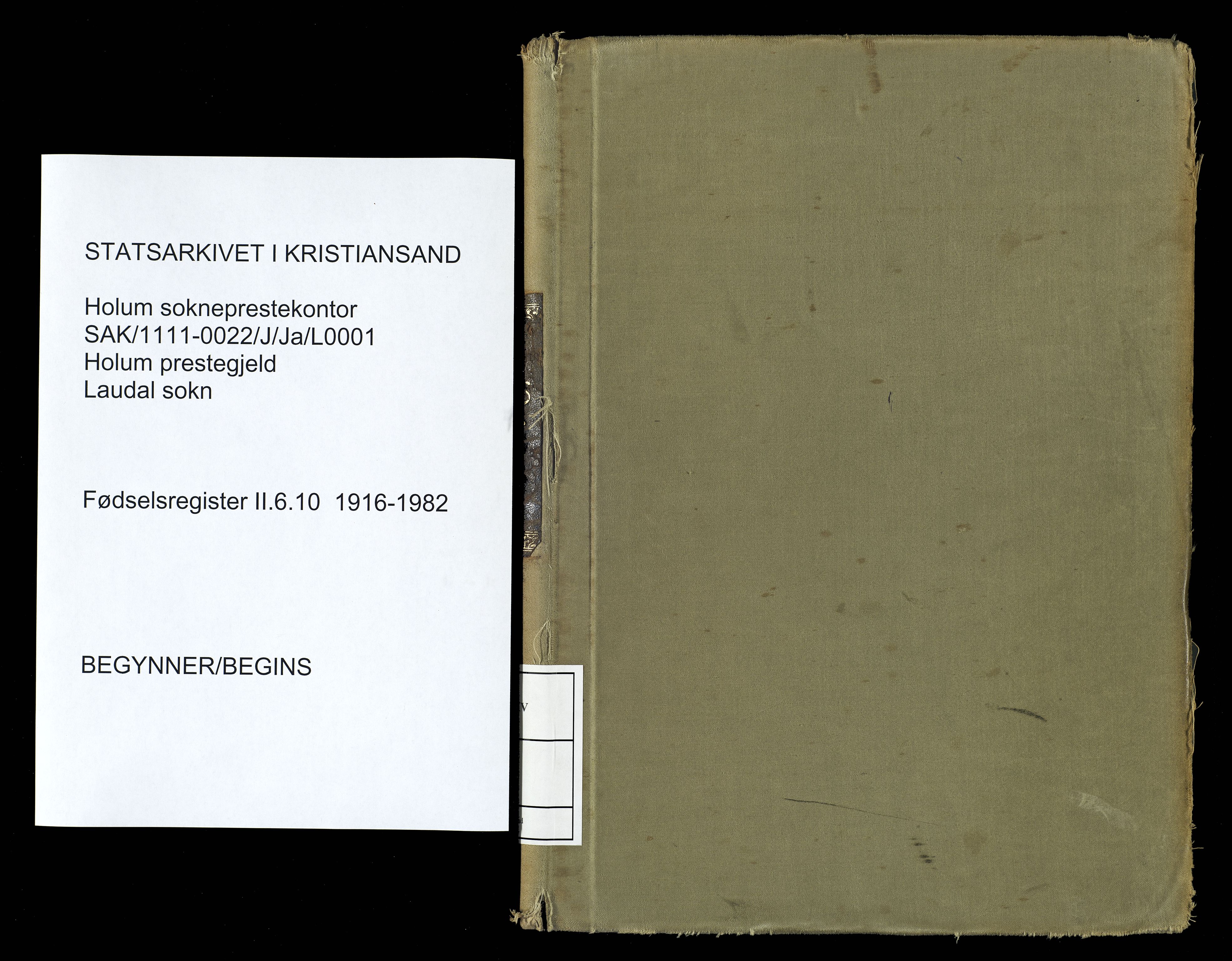 Holum sokneprestkontor, AV/SAK-1111-0022/J/Ja/L0001: Birth register no. II.6.10, 1916-1982