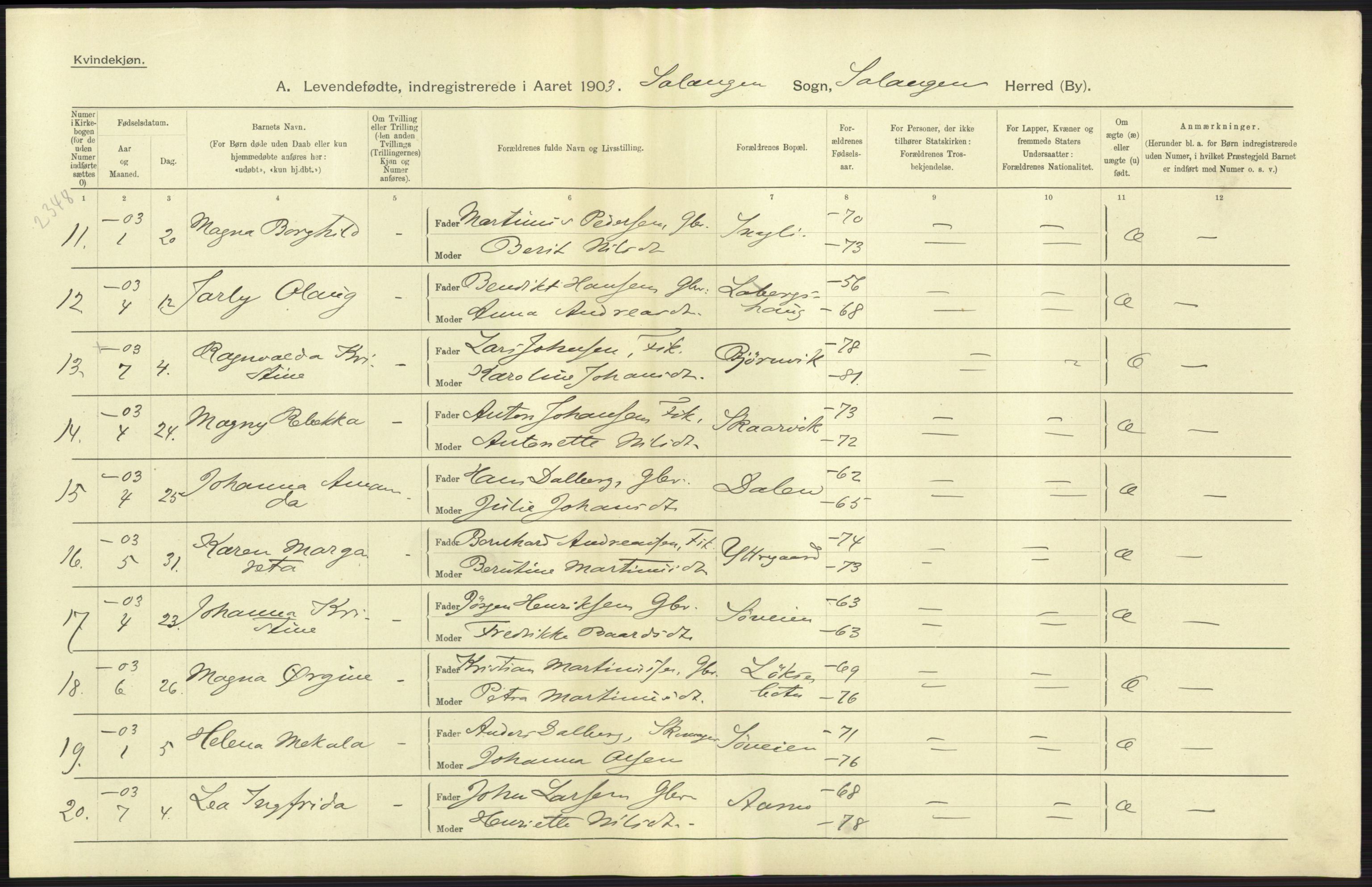 Statistisk sentralbyrå, Sosiodemografiske emner, Befolkning, AV/RA-S-2228/D/Df/Dfa/Dfaa/L0021: Tromsø amt: Fødte, gifte, døde., 1903, p. 27