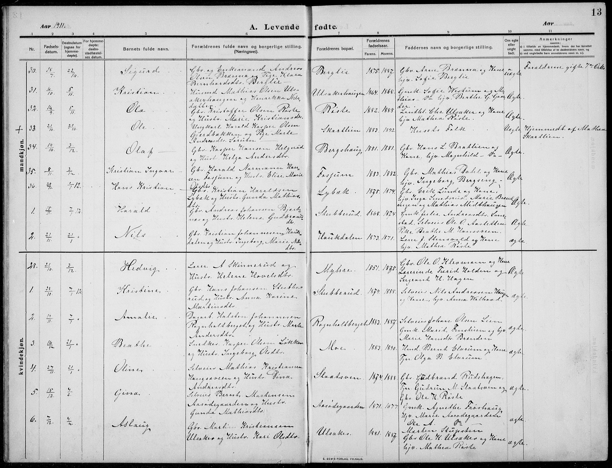 Nordre Land prestekontor, AV/SAH-PREST-124/H/Ha/Hab/L0002: Parish register (copy) no. 2, 1909-1934, p. 13
