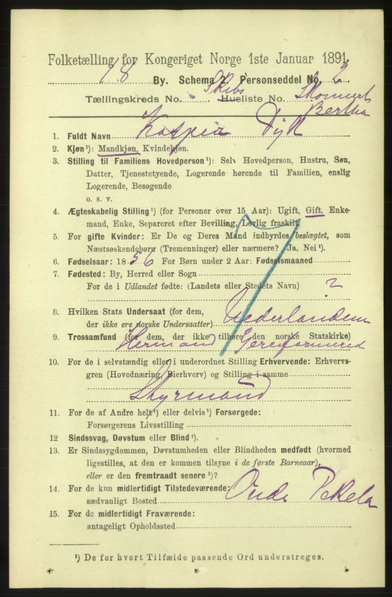 RA, 1891 census for 0701 Svelvik, 1891, p. 2063