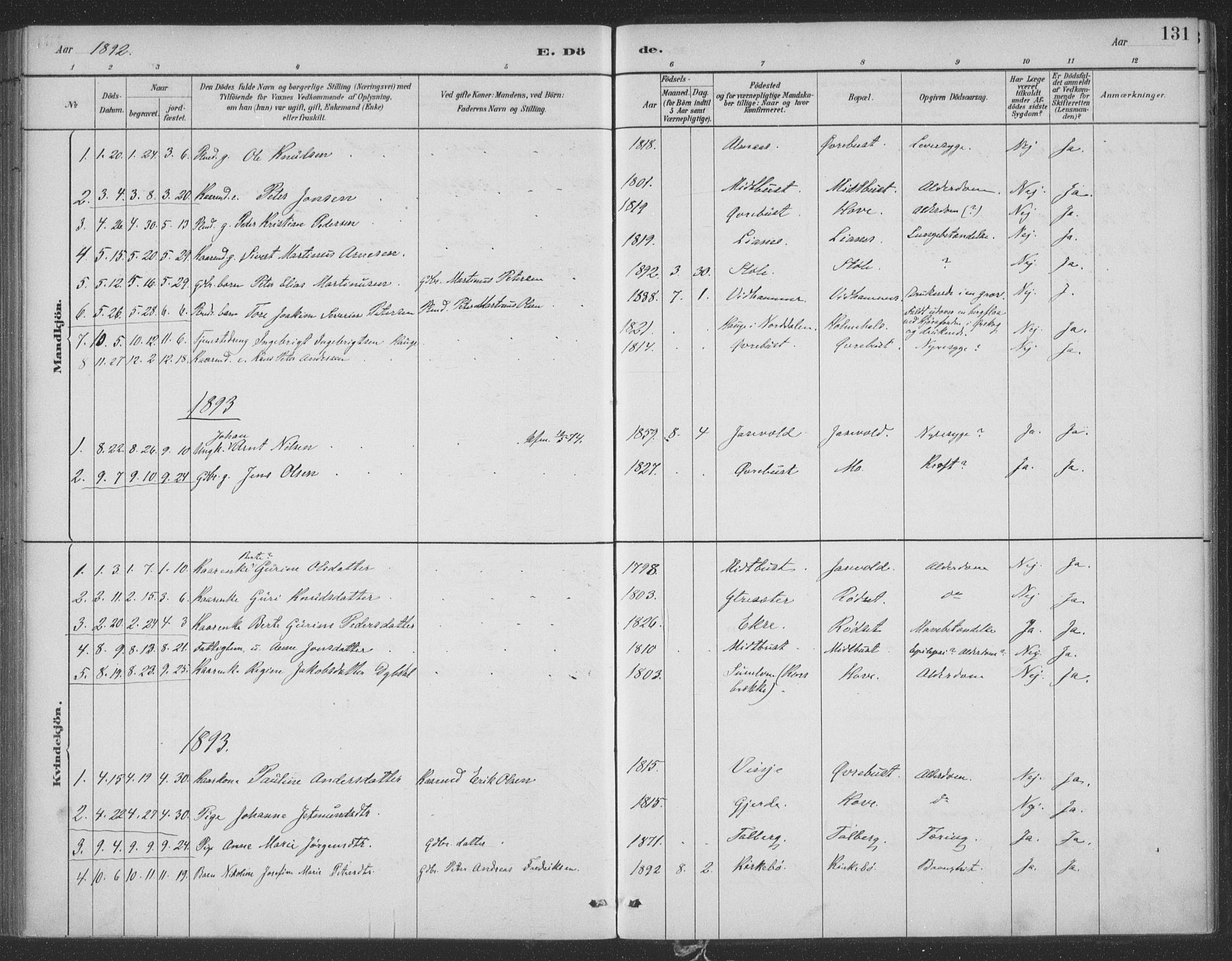 Ministerialprotokoller, klokkerbøker og fødselsregistre - Møre og Romsdal, SAT/A-1454/521/L0299: Parish register (official) no. 521A01, 1882-1907, p. 131