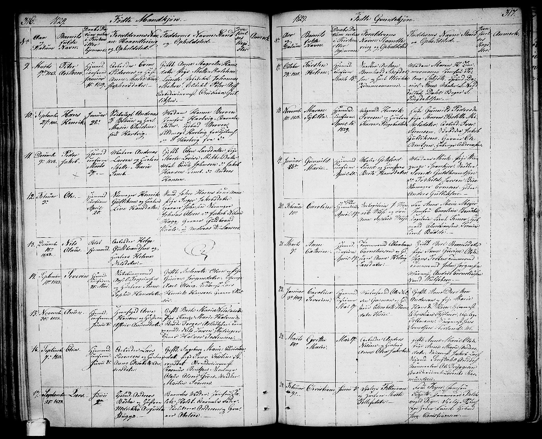 Larvik kirkebøker, AV/SAKO-A-352/G/Ga/L0002: Parish register (copy) no. I 2, 1807-1830, p. 316-317