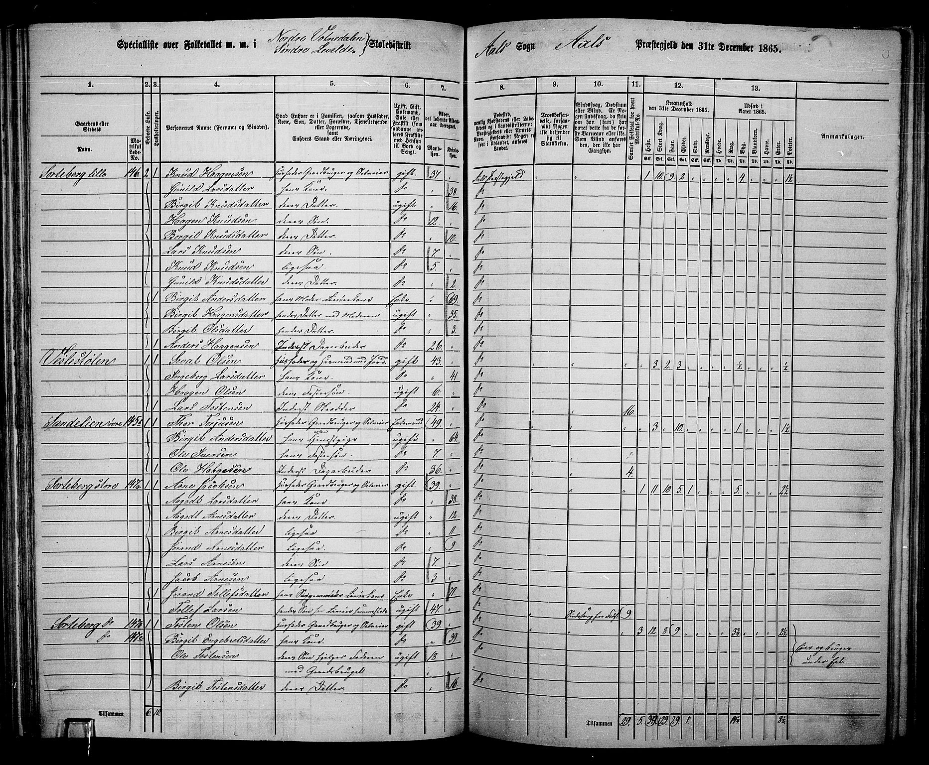 RA, 1865 census for Ål, 1865, p. 96