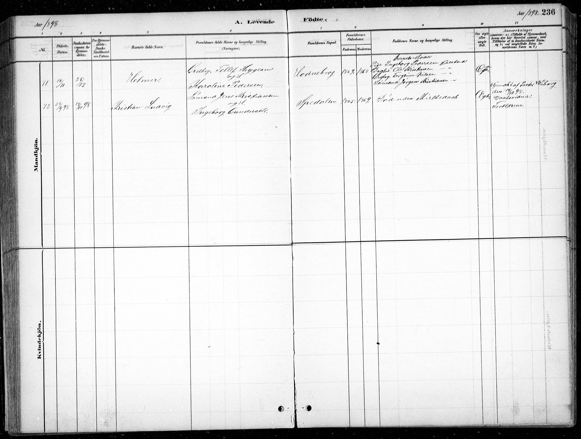 Fjære sokneprestkontor, AV/SAK-1111-0011/F/Fb/L0011: Parish register (copy) no. B 11, 1881-1905, p. 236