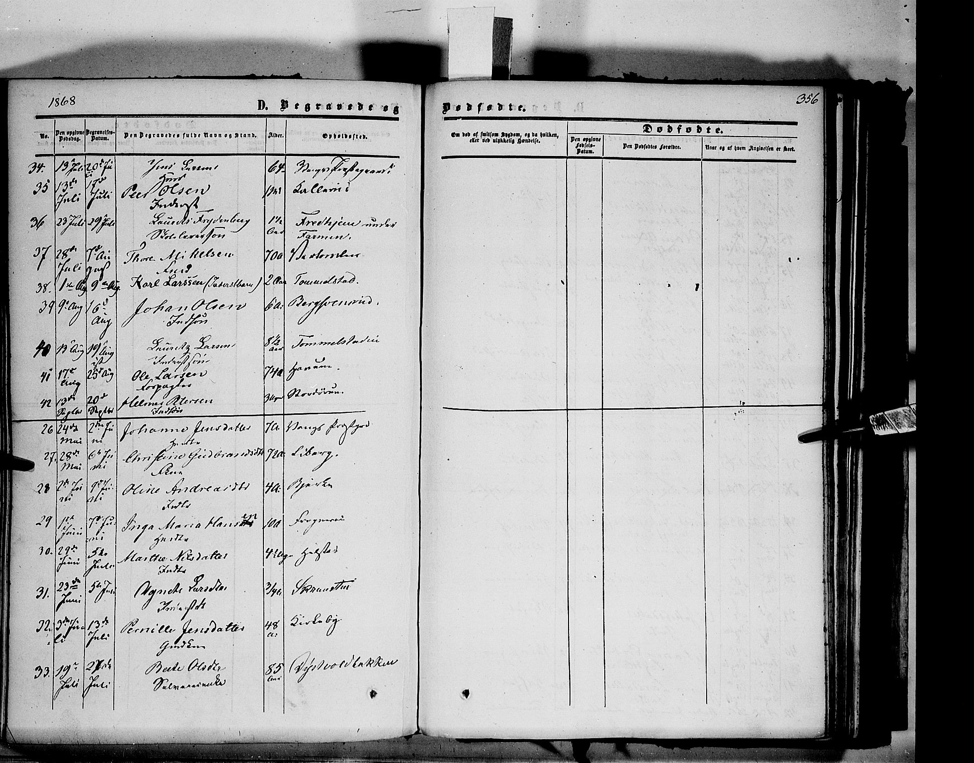 Vang prestekontor, Hedmark, AV/SAH-PREST-008/H/Ha/Haa/L0012: Parish register (official) no. 12, 1855-1870, p. 356