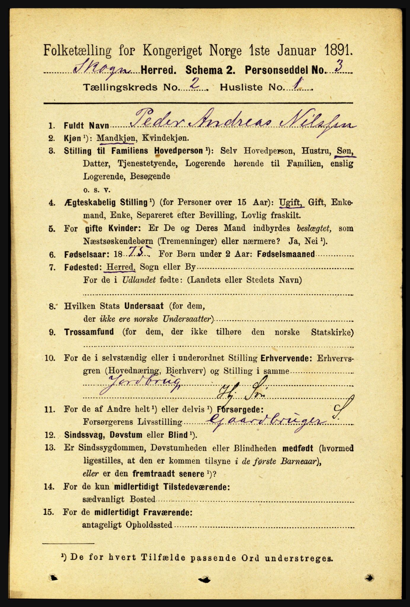 RA, 1891 census for 1719 Skogn, 1891, p. 977