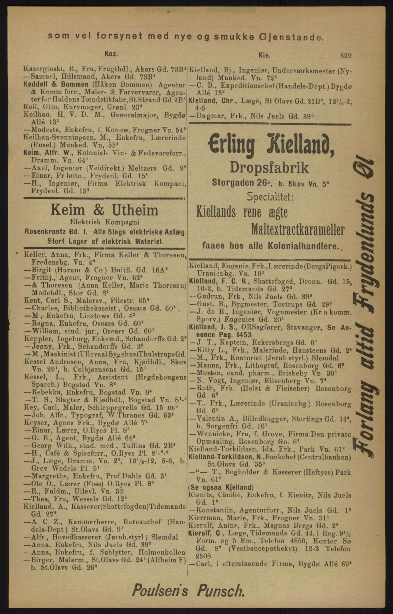 Kristiania/Oslo adressebok, PUBL/-, 1905, p. 529