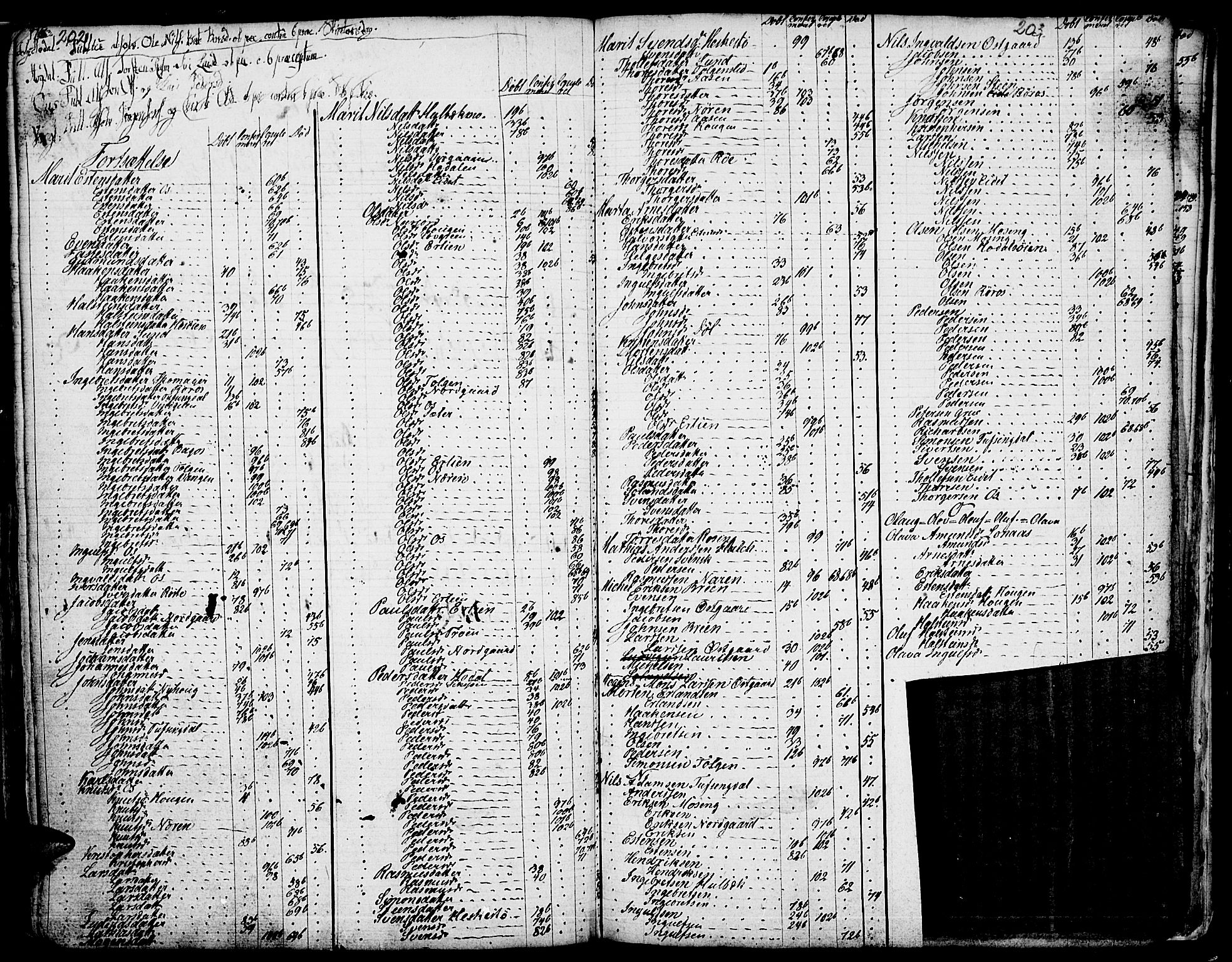 Tolga prestekontor, AV/SAH-PREST-062/K/L0001: Parish register (official) no. 1, 1733-1767, p. 202-203