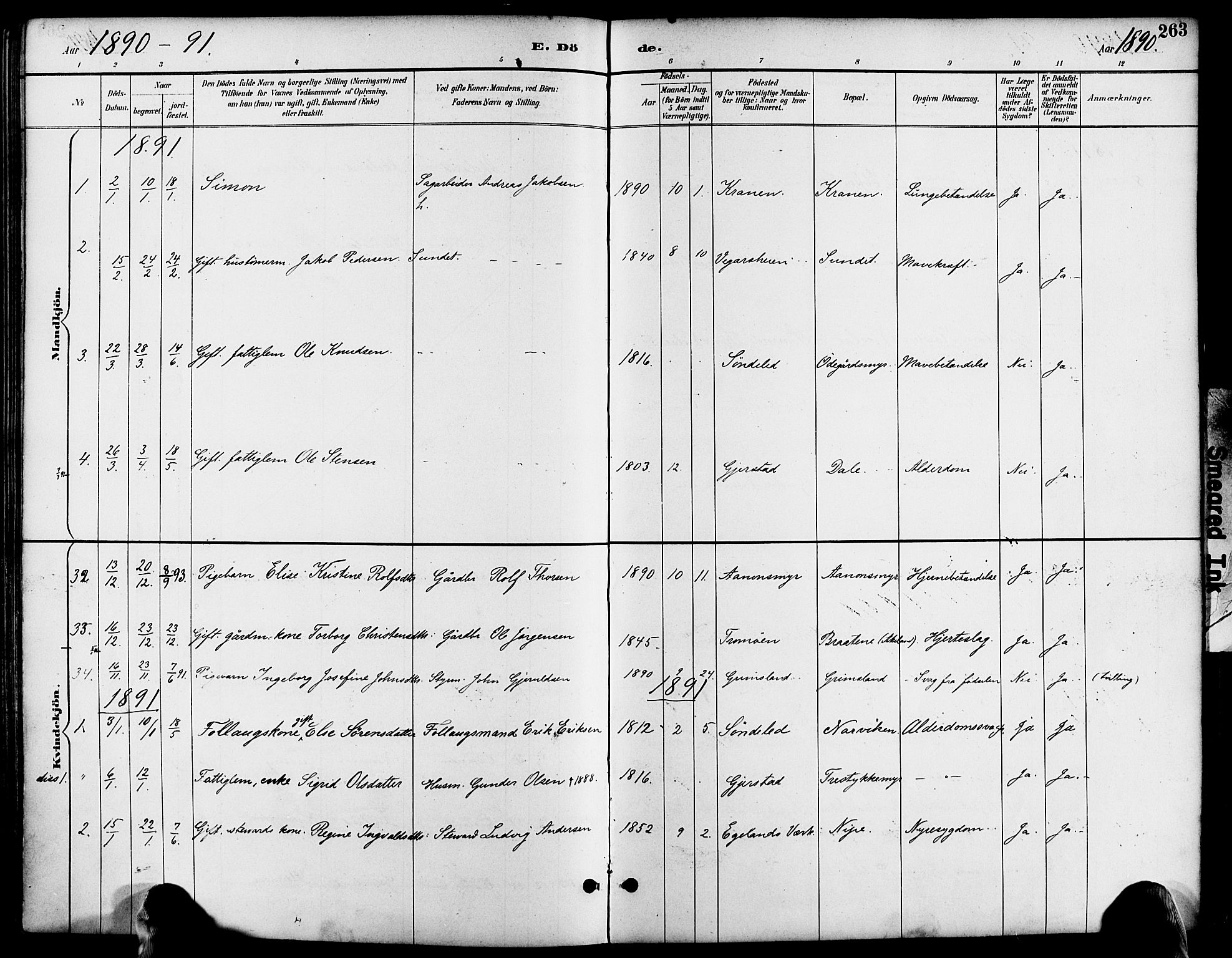 Søndeled sokneprestkontor, AV/SAK-1111-0038/F/Fa/L0005: Parish register (official) no. A 5, 1889-1899, p. 263