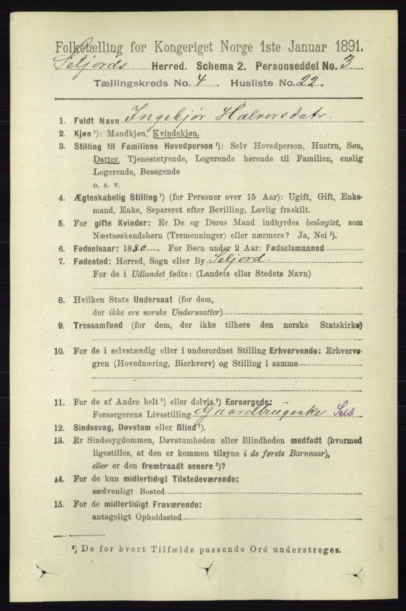 RA, 1891 census for 0828 Seljord, 1891, p. 1405