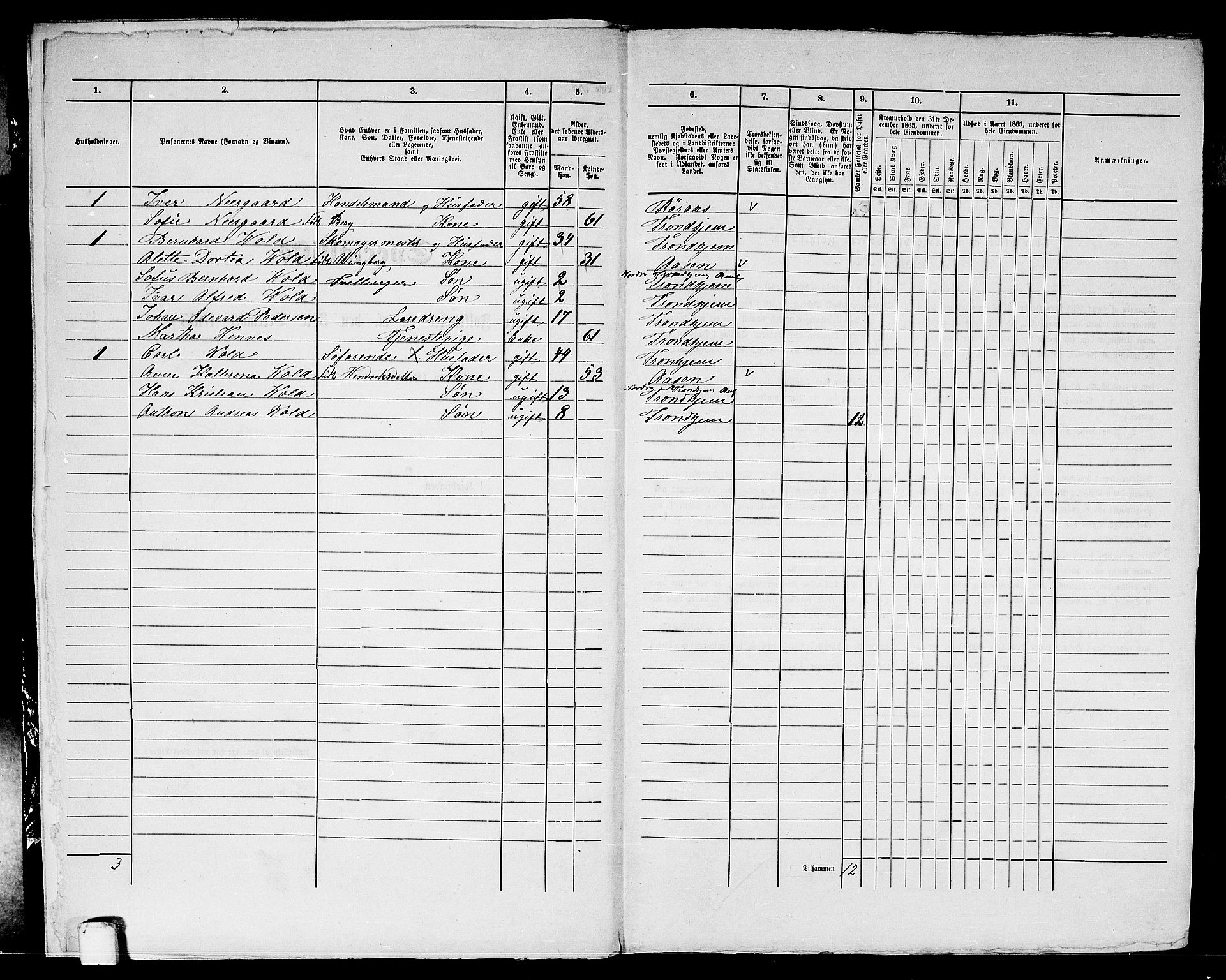 RA, 1865 census for Trondheim, 1865, p. 2082