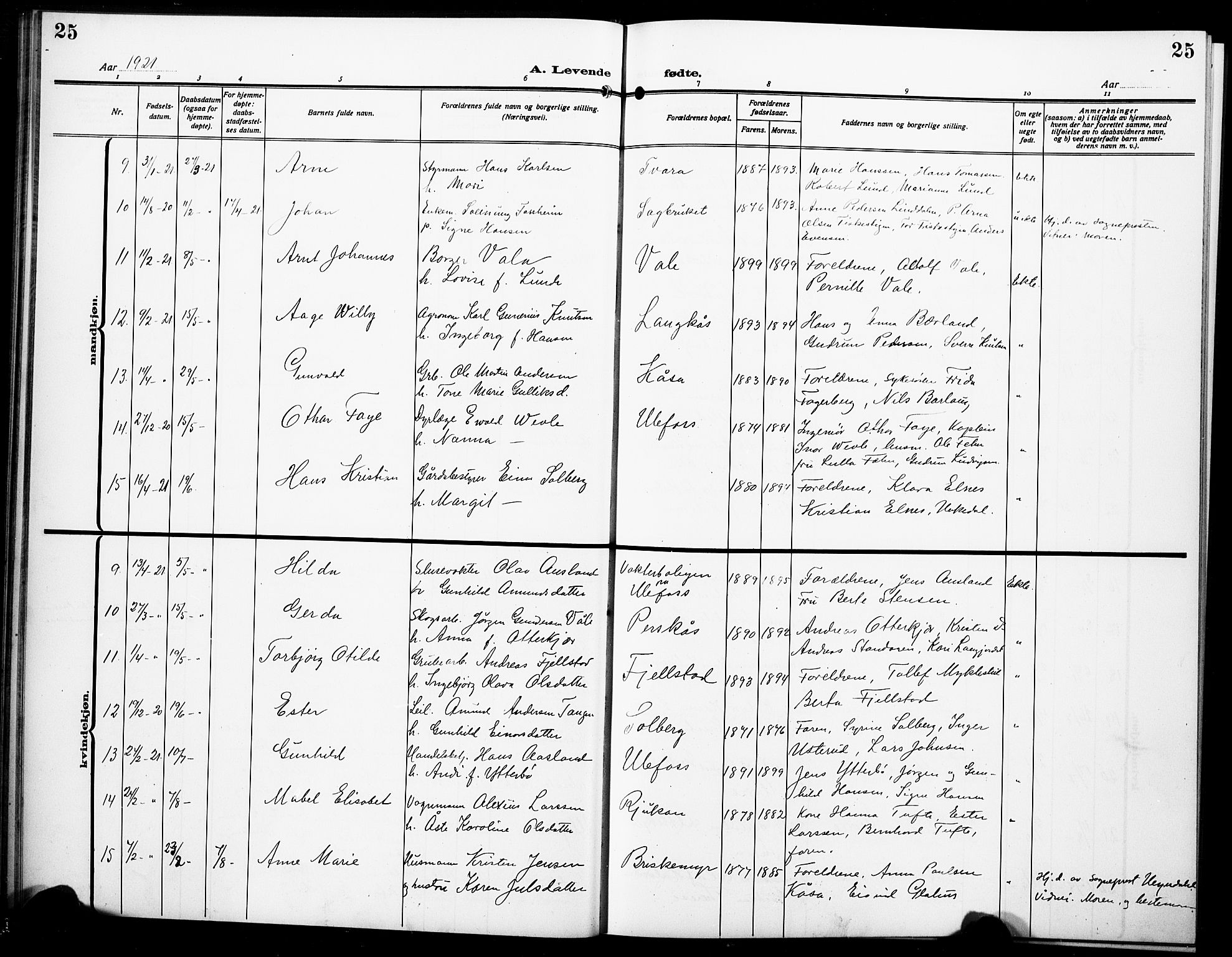 Holla kirkebøker, SAKO/A-272/G/Ga/L0006: Parish register (copy) no. I 6, 1917-1928, p. 25