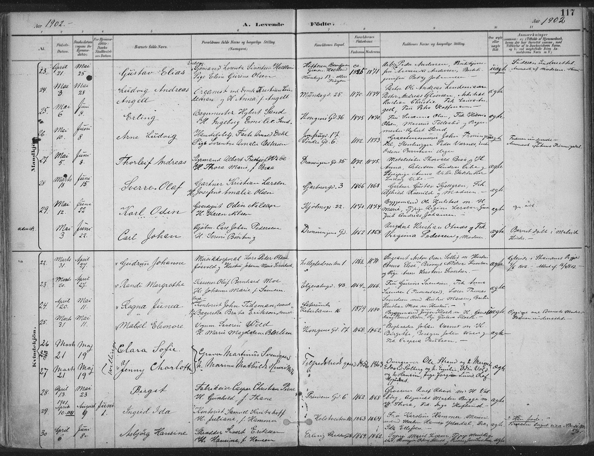 Ministerialprotokoller, klokkerbøker og fødselsregistre - Sør-Trøndelag, AV/SAT-A-1456/601/L0062: Parish register (official) no. 601A30, 1891-1911, p. 117