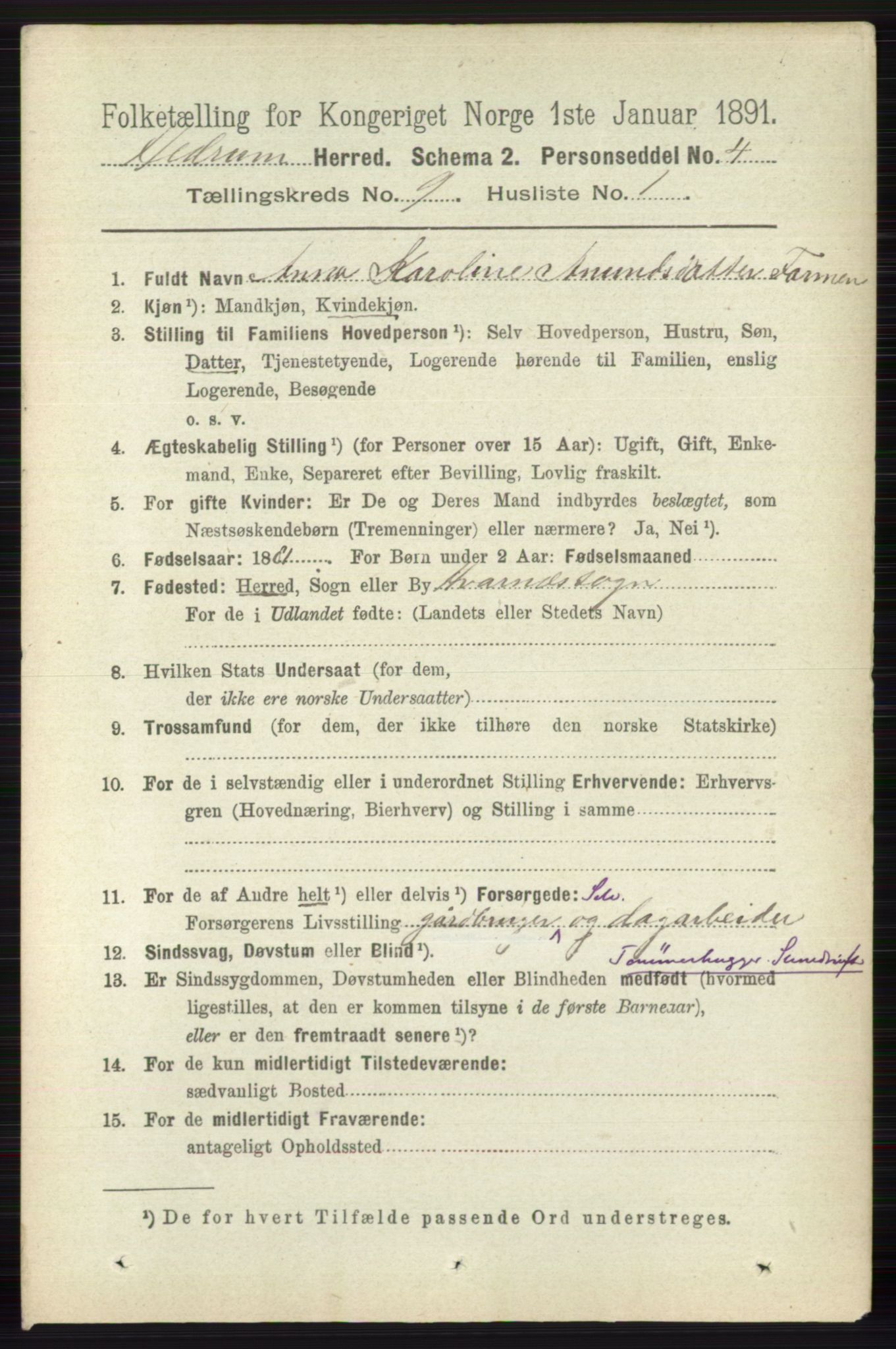 RA, 1891 census for 0727 Hedrum, 1891, p. 3920