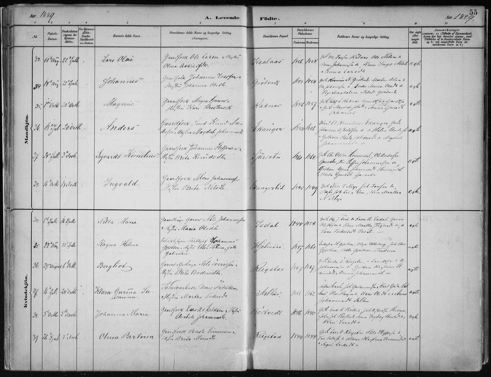 Hamre sokneprestembete, SAB/A-75501/H/Ha/Haa/Haab/L0001: Parish register (official) no. B  1, 1882-1905, p. 55