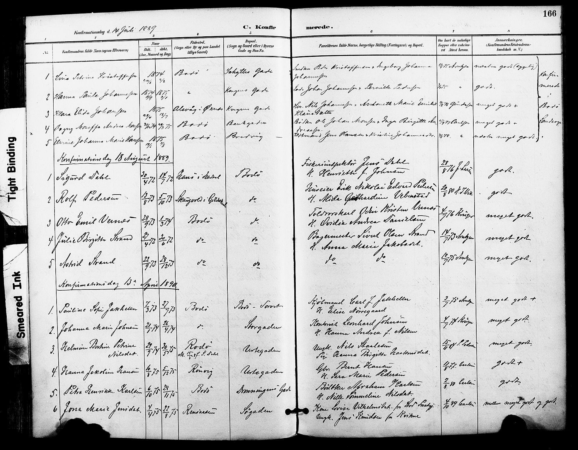 Ministerialprotokoller, klokkerbøker og fødselsregistre - Nordland, AV/SAT-A-1459/801/L0010: Parish register (official) no. 801A10, 1888-1899, p. 166