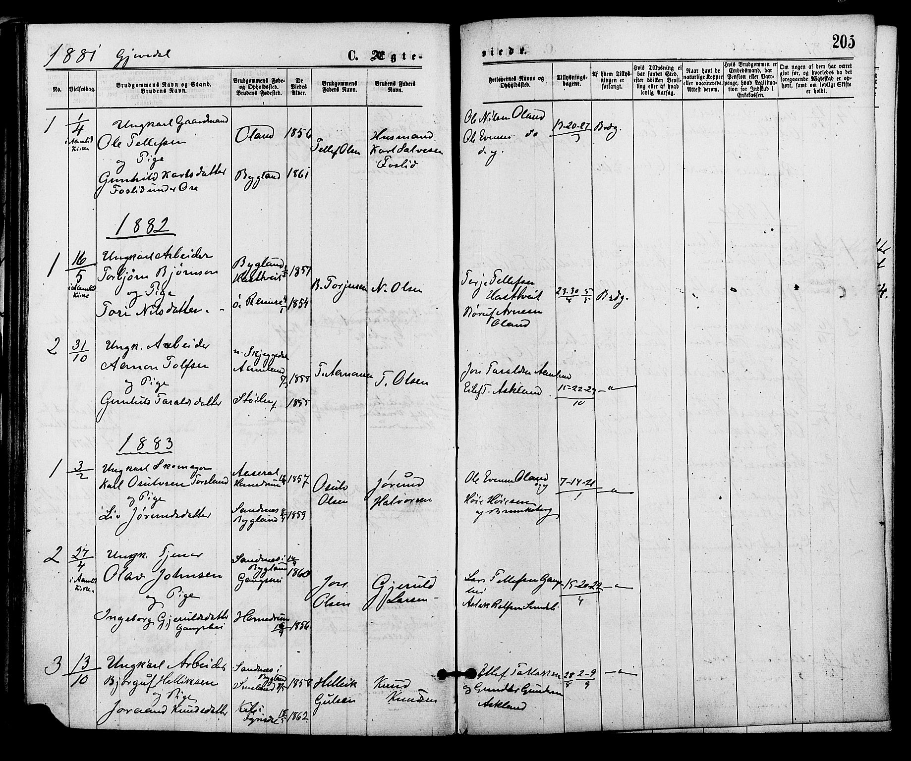 Åmli sokneprestkontor, AV/SAK-1111-0050/F/Fa/Fac/L0009: Parish register (official) no. A 9 /2, 1869-1884, p. 205