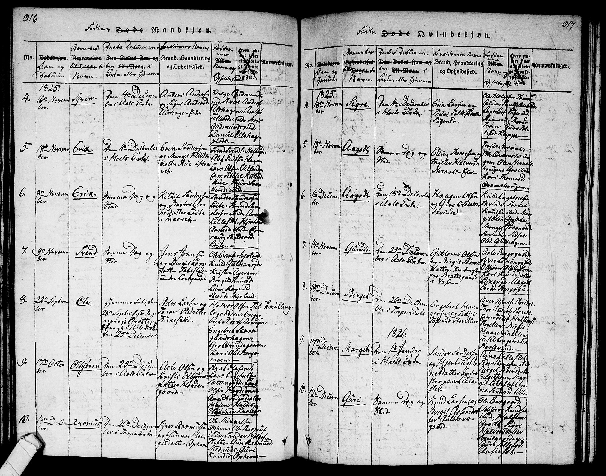 Ål kirkebøker, AV/SAKO-A-249/G/Ga/L0001: Parish register (copy) no. 1, 1815-1829, p. 316-317