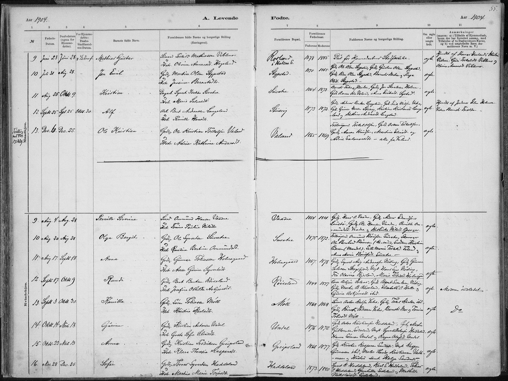 Holum sokneprestkontor, SAK/1111-0022/F/Fa/Faa/L0007: Parish register (official) no. A 7, 1884-1907, p. 55