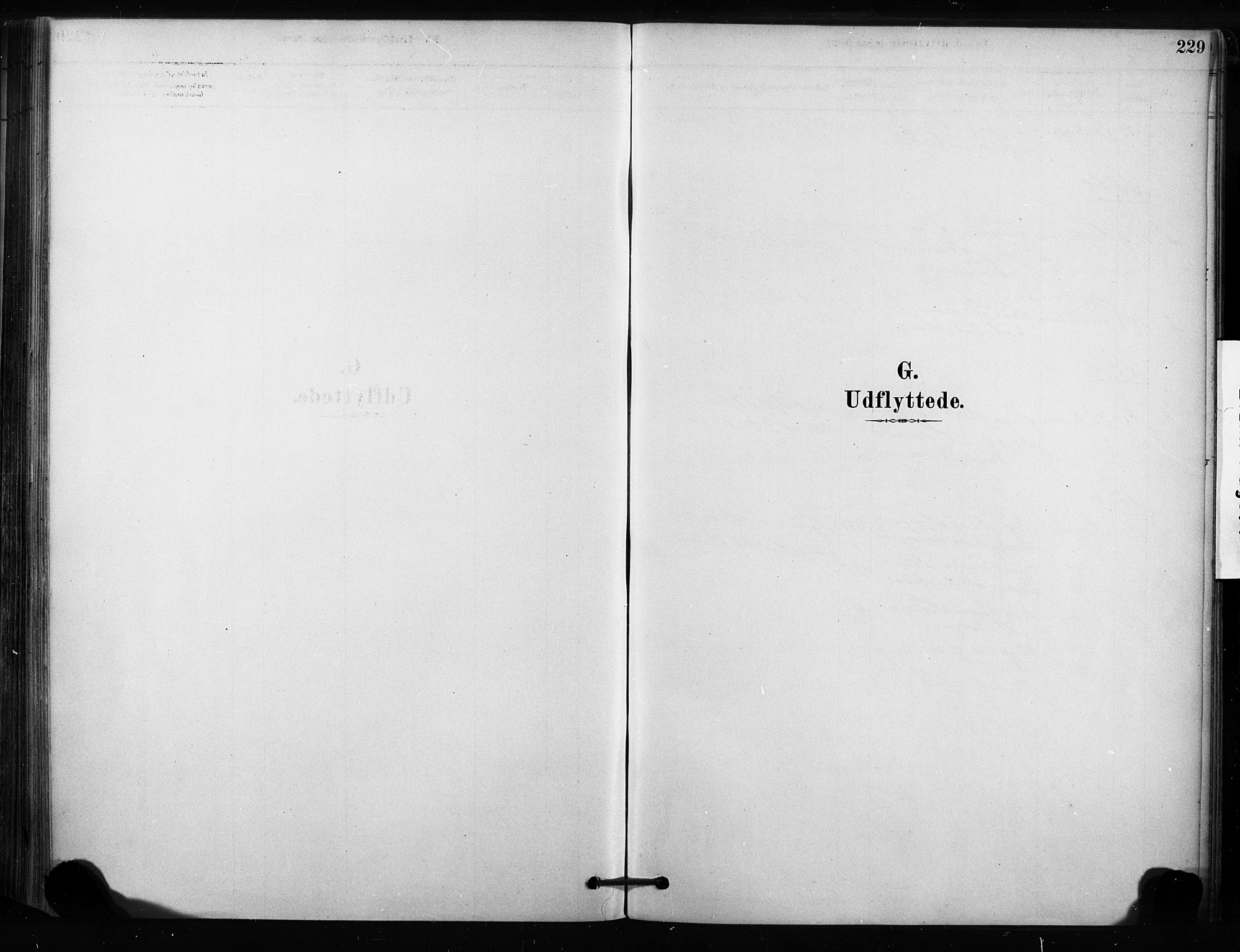 Sandsvær kirkebøker, SAKO/A-244/F/Fc/L0001: Parish register (official) no. III 1, 1878-1923, p. 229