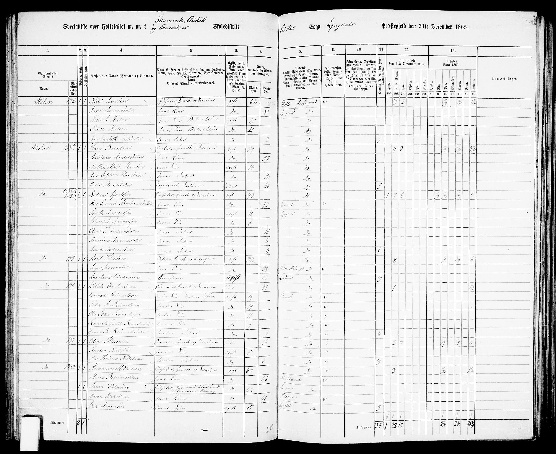 RA, 1865 census for Lyngdal, 1865, p. 73