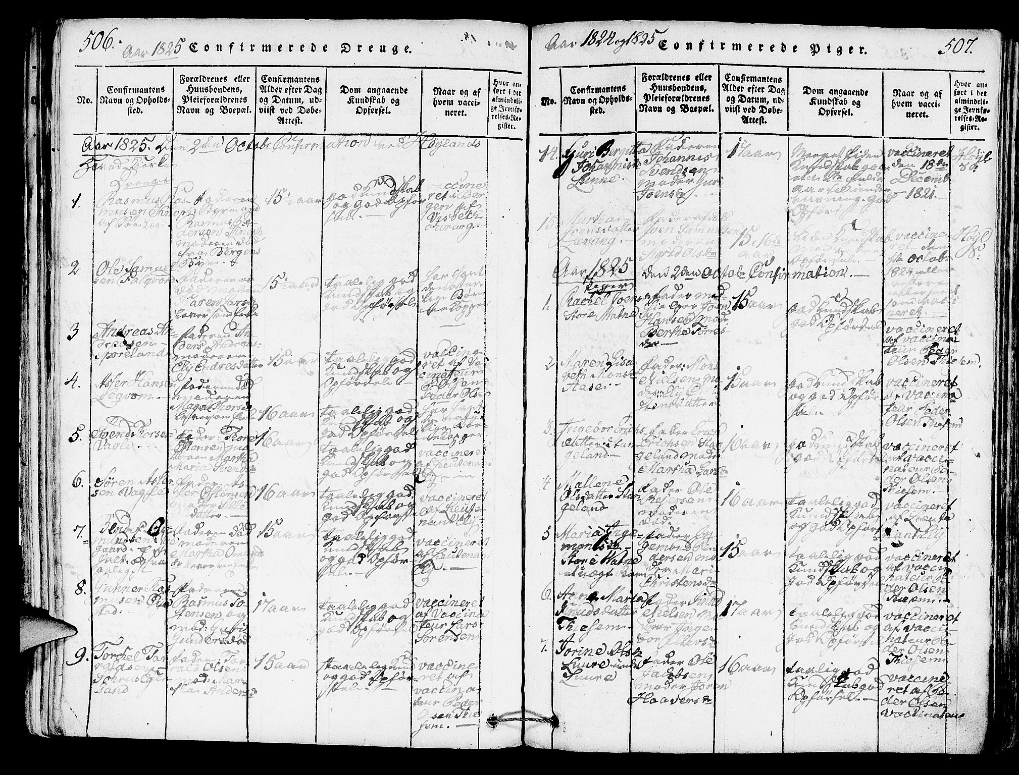 Høyland sokneprestkontor, AV/SAST-A-101799/001/30BA/L0006: Parish register (official) no. A 6, 1815-1825, p. 506-507