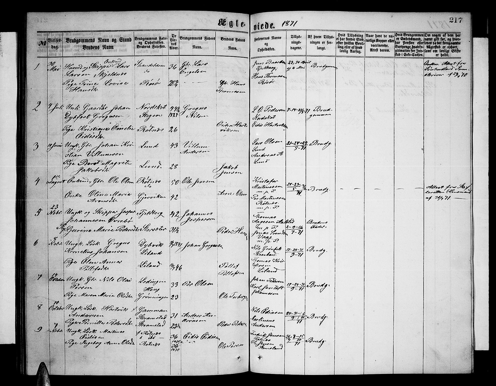 Ministerialprotokoller, klokkerbøker og fødselsregistre - Nordland, AV/SAT-A-1459/855/L0815: Parish register (copy) no. 855C04, 1865-1878, p. 217