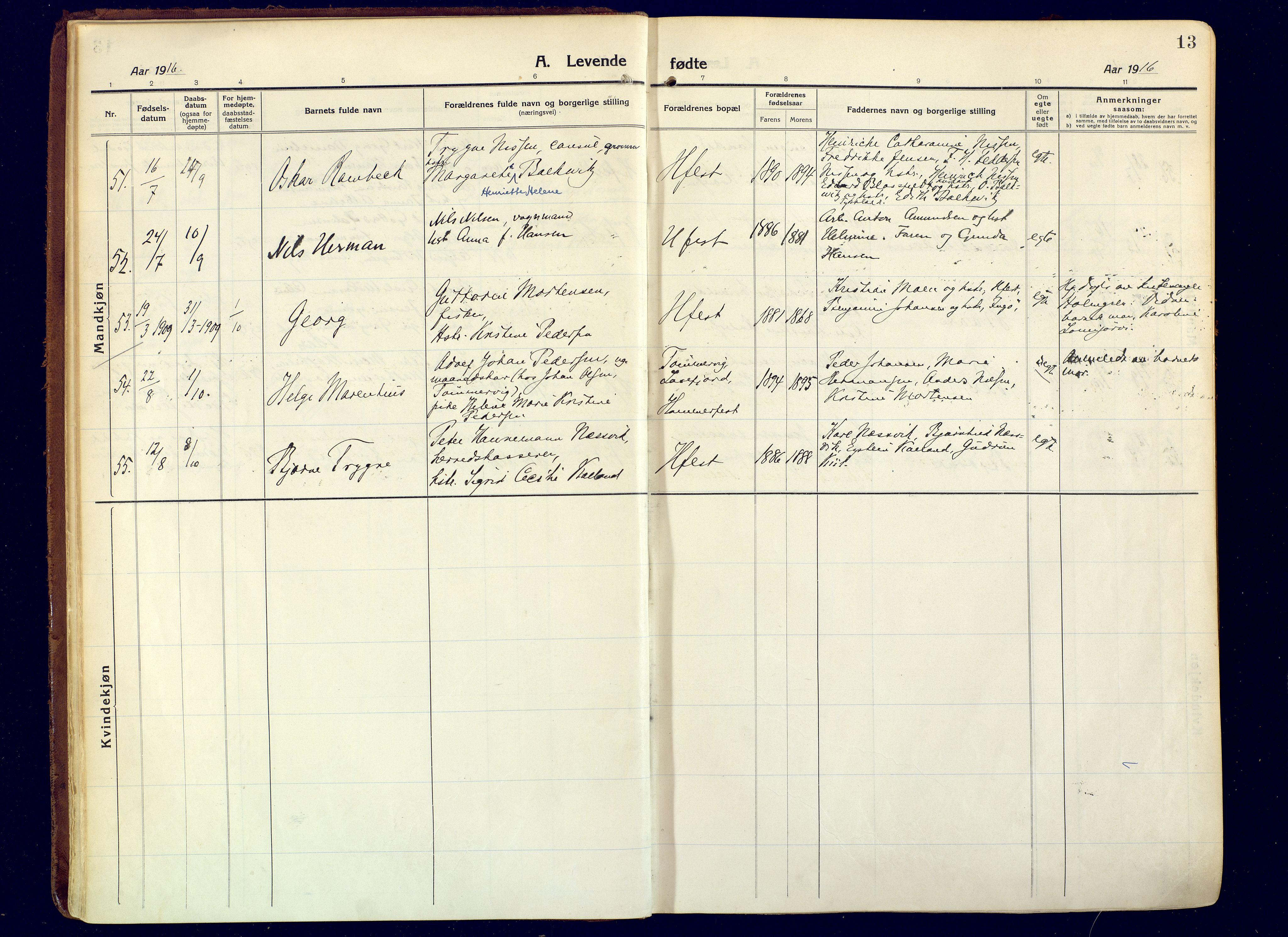 Hammerfest sokneprestkontor, AV/SATØ-S-1347/H/Ha/L0015.kirke: Parish register (official) no. 15, 1916-1923, p. 13