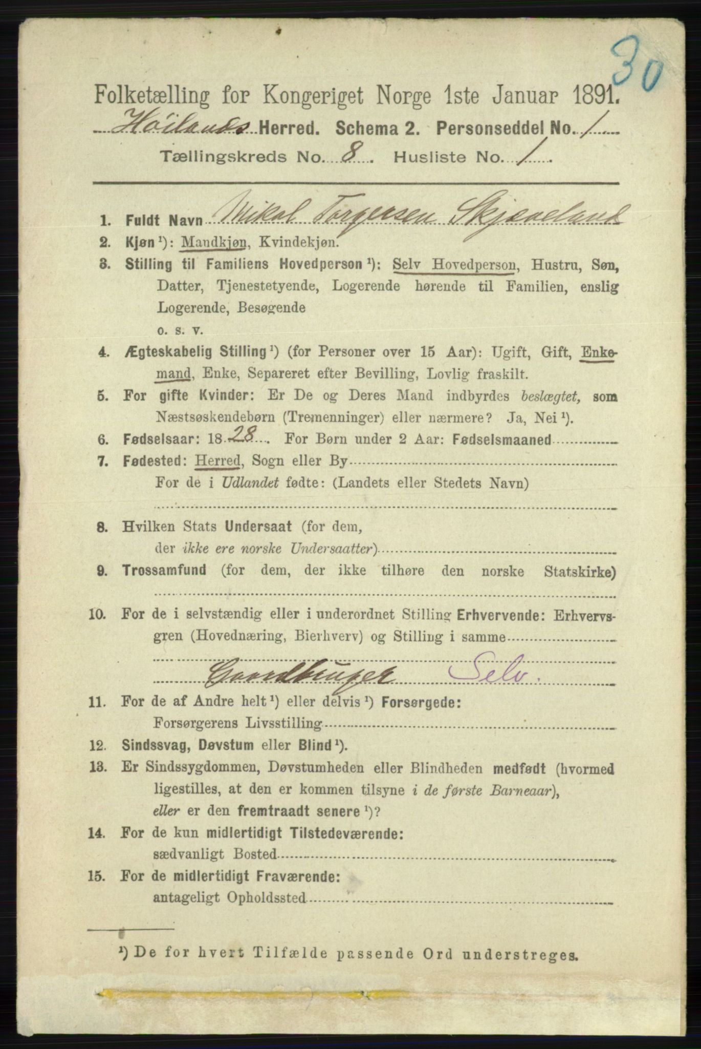 RA, 1891 census for 1123 Høyland, 1891, p. 2961