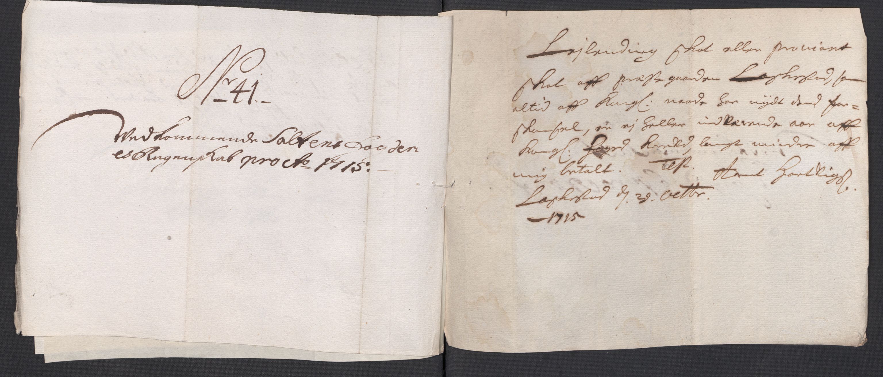 Rentekammeret inntil 1814, Reviderte regnskaper, Fogderegnskap, AV/RA-EA-4092/R66/L4585: Fogderegnskap Salten, 1715, p. 305