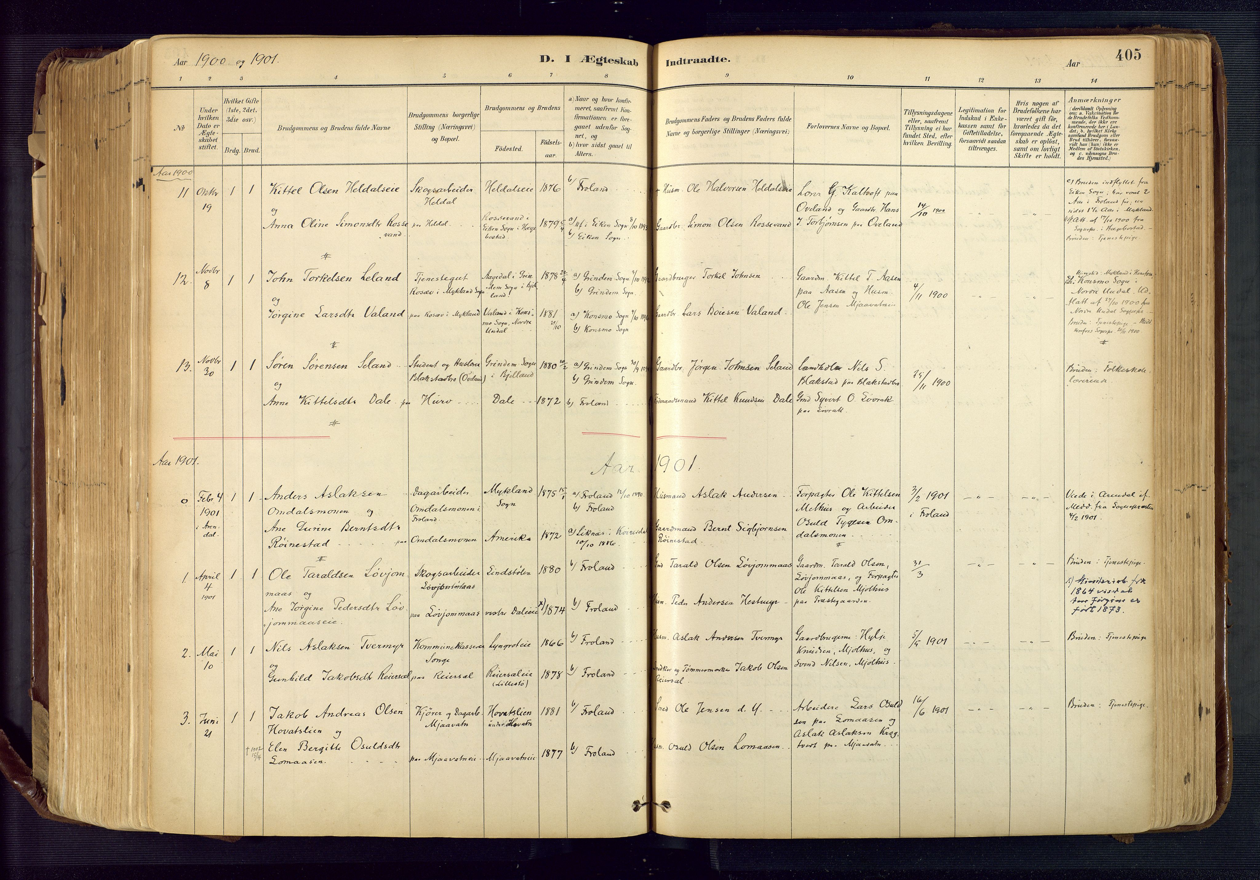 Froland sokneprestkontor, SAK/1111-0013/F/Fa/L0005: Parish register (official) no. A 5, 1882-1921, p. 405