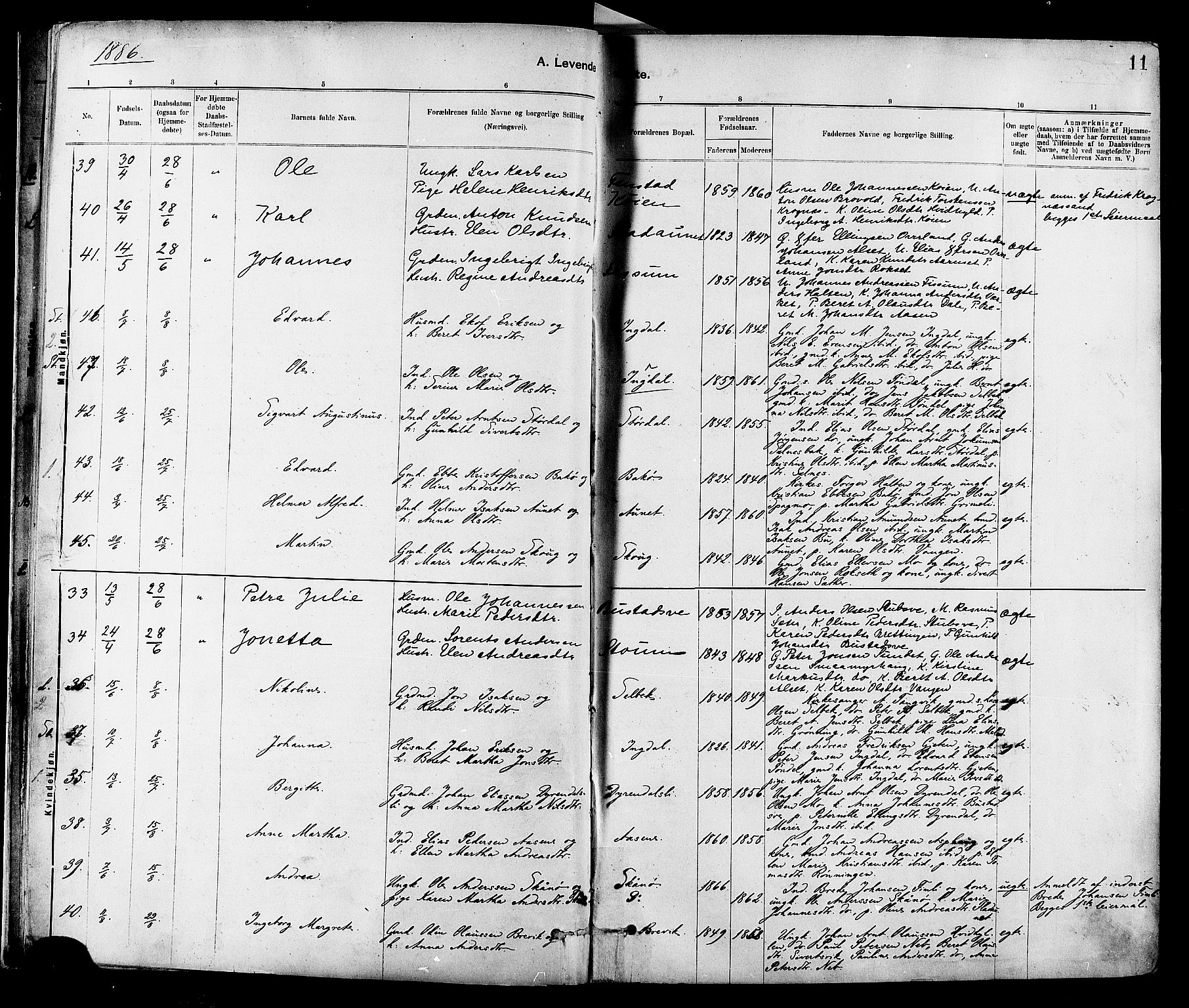 Ministerialprotokoller, klokkerbøker og fødselsregistre - Sør-Trøndelag, AV/SAT-A-1456/647/L0634: Parish register (official) no. 647A01, 1885-1896, p. 11