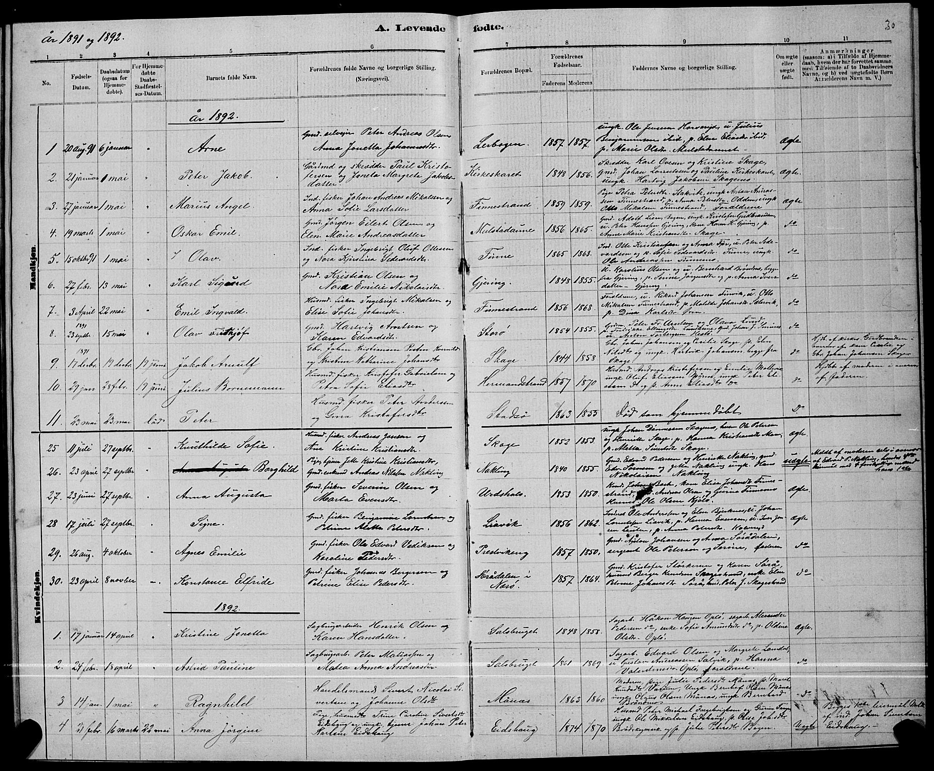 Ministerialprotokoller, klokkerbøker og fødselsregistre - Nord-Trøndelag, SAT/A-1458/780/L0651: Parish register (copy) no. 780C03, 1884-1898, p. 30