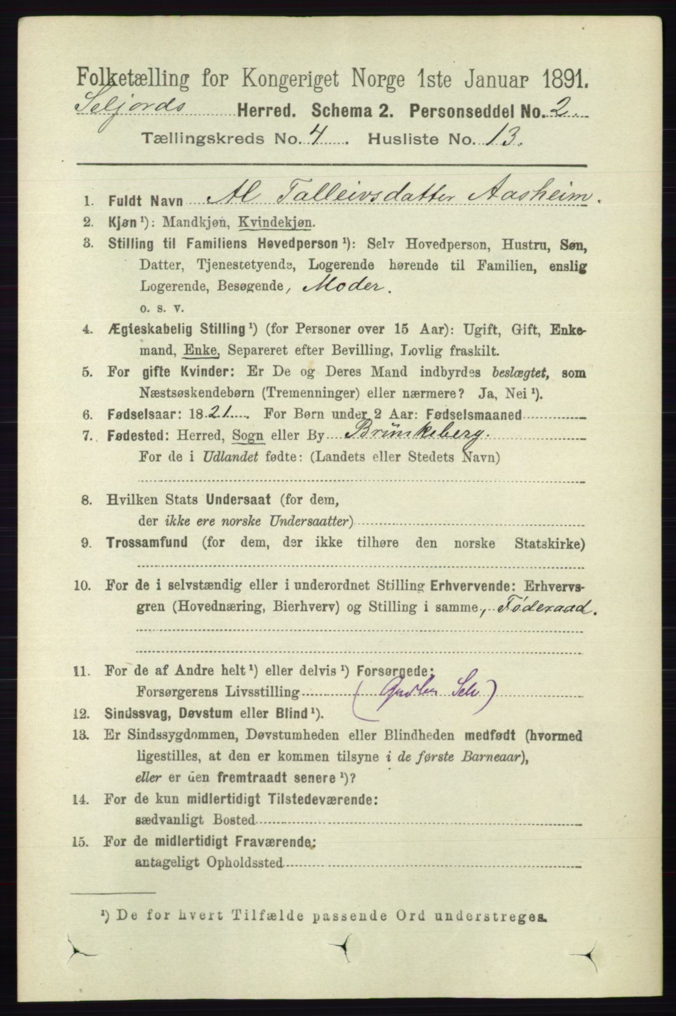 RA, 1891 census for 0828 Seljord, 1891, p. 1356