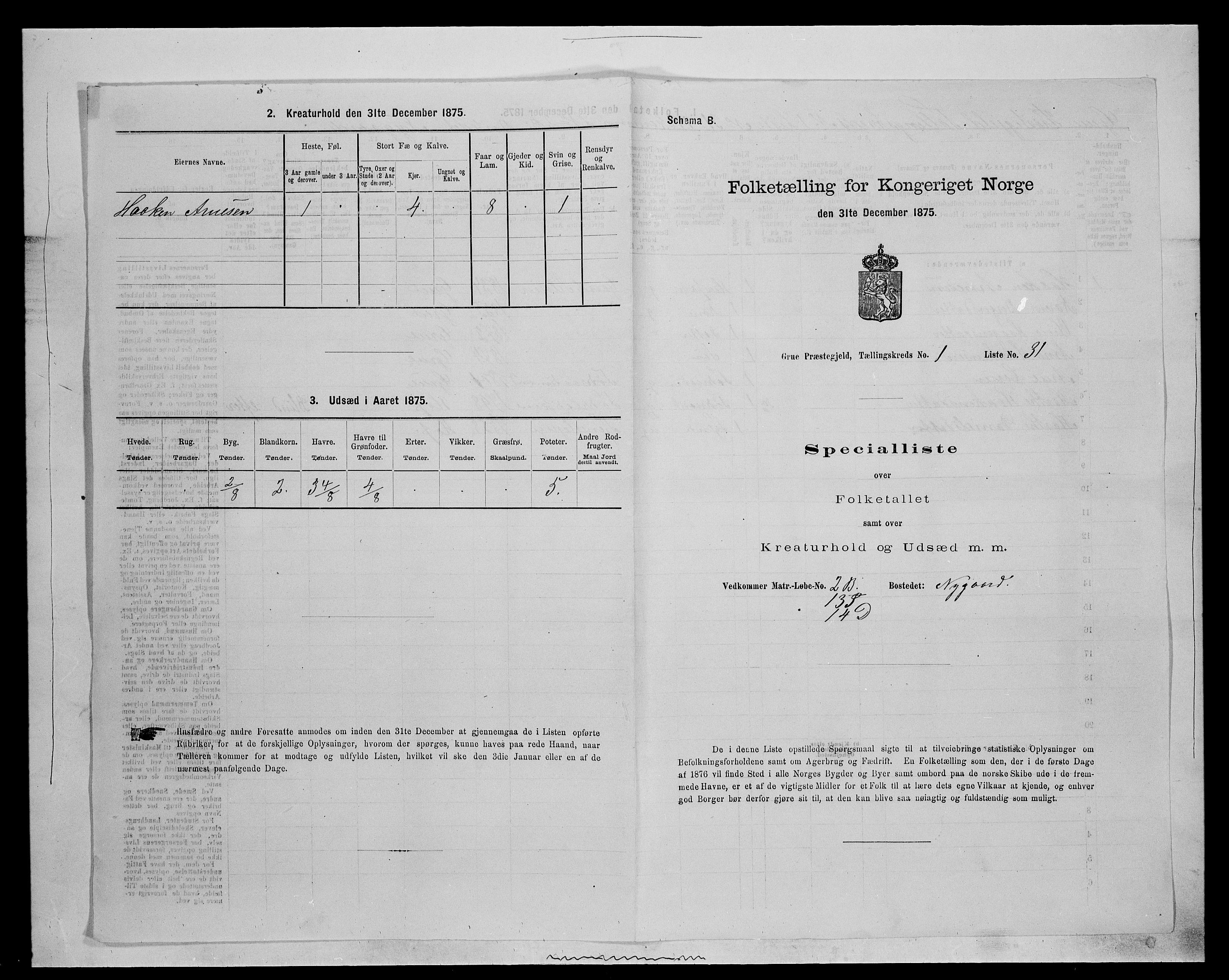 SAH, 1875 census for 0423P Grue, 1875, p. 213