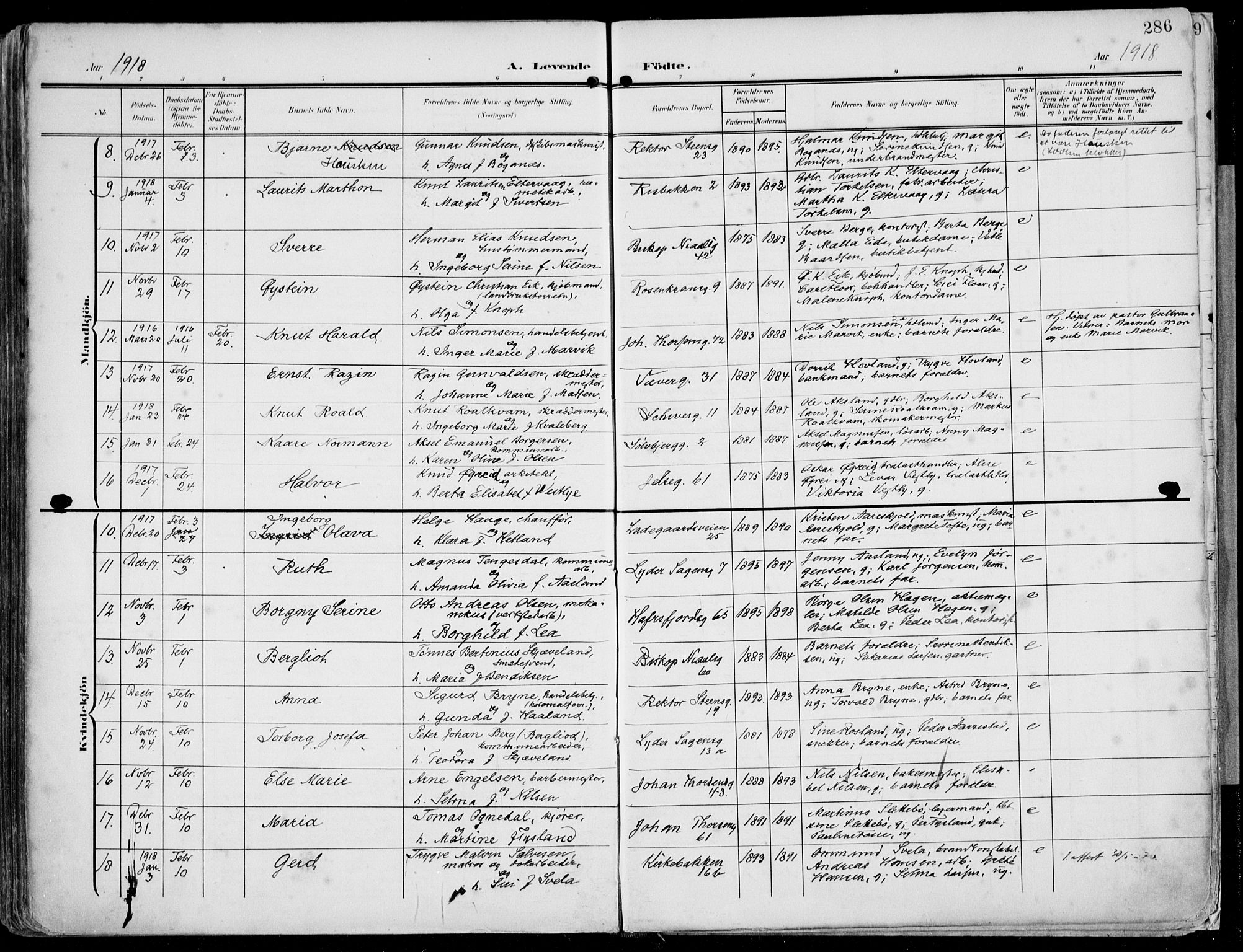 St. Petri sokneprestkontor, AV/SAST-A-101813/002/A/L0005: Parish register (official) no. A 23, 1902-1918, p. 286